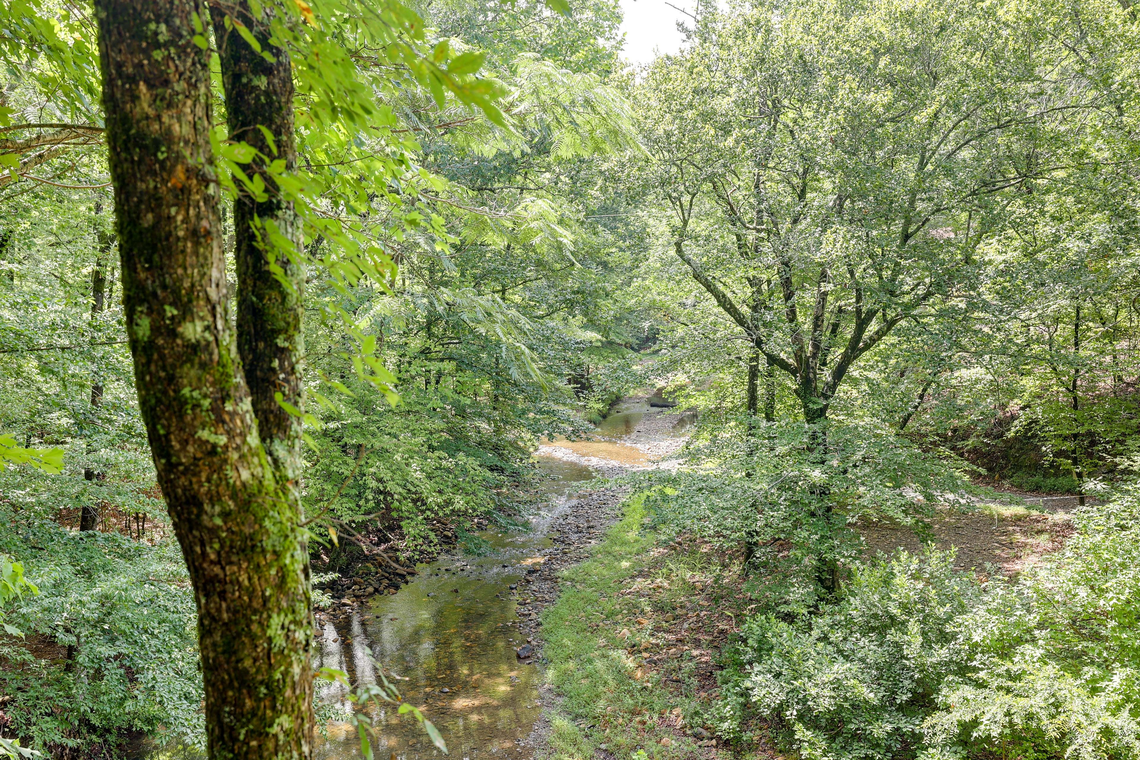 Creek On-Site