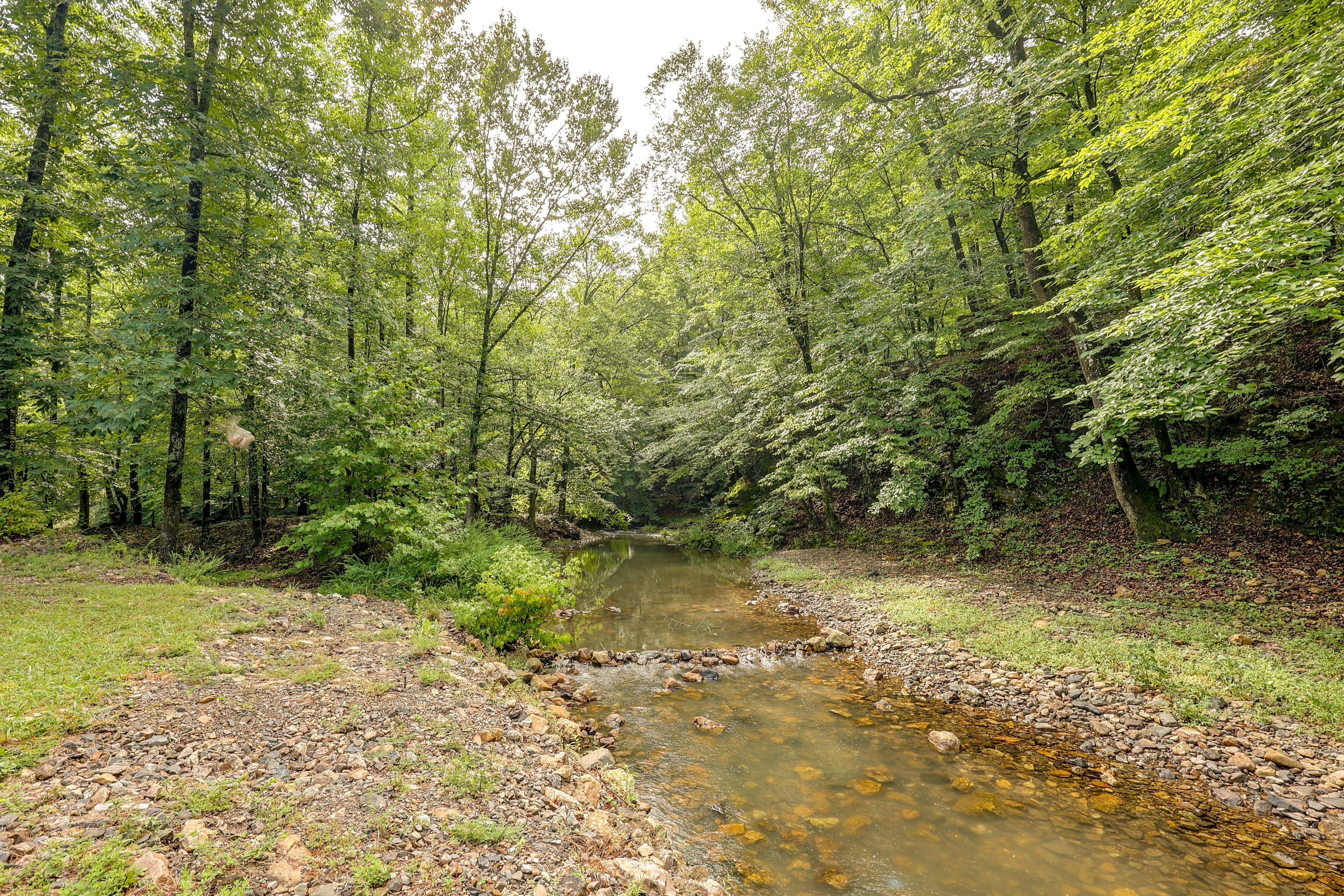 Creek On-Site