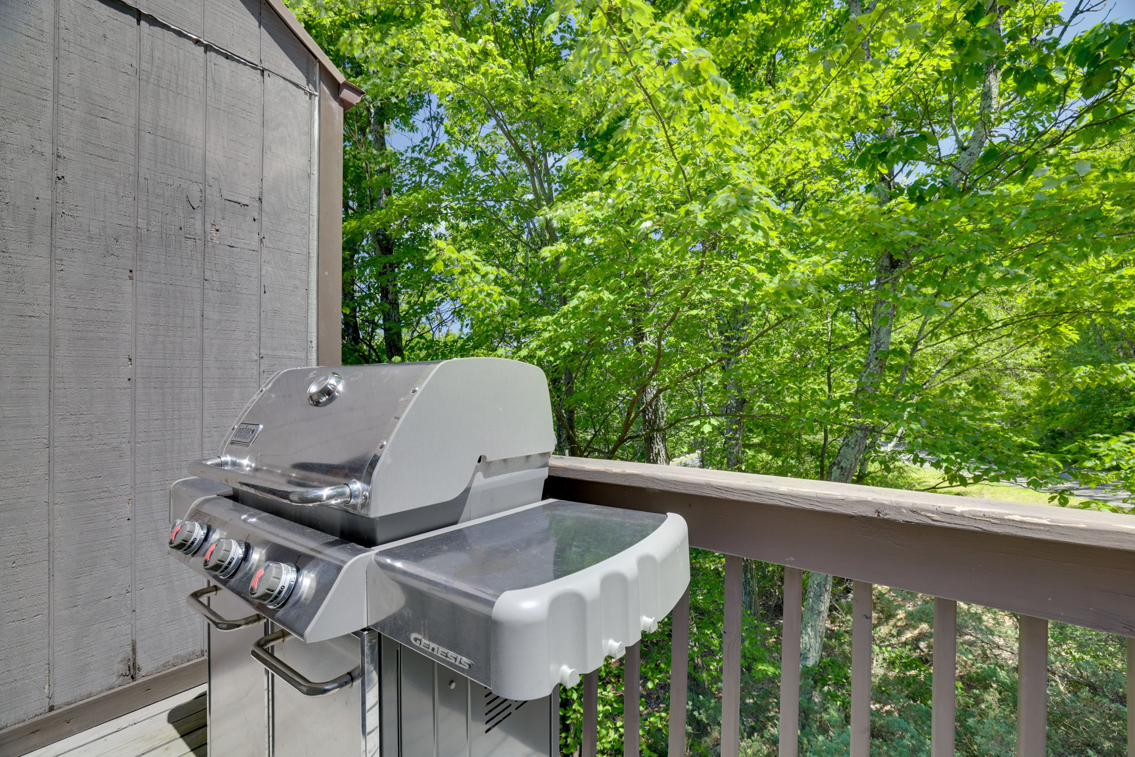 Gas Grill