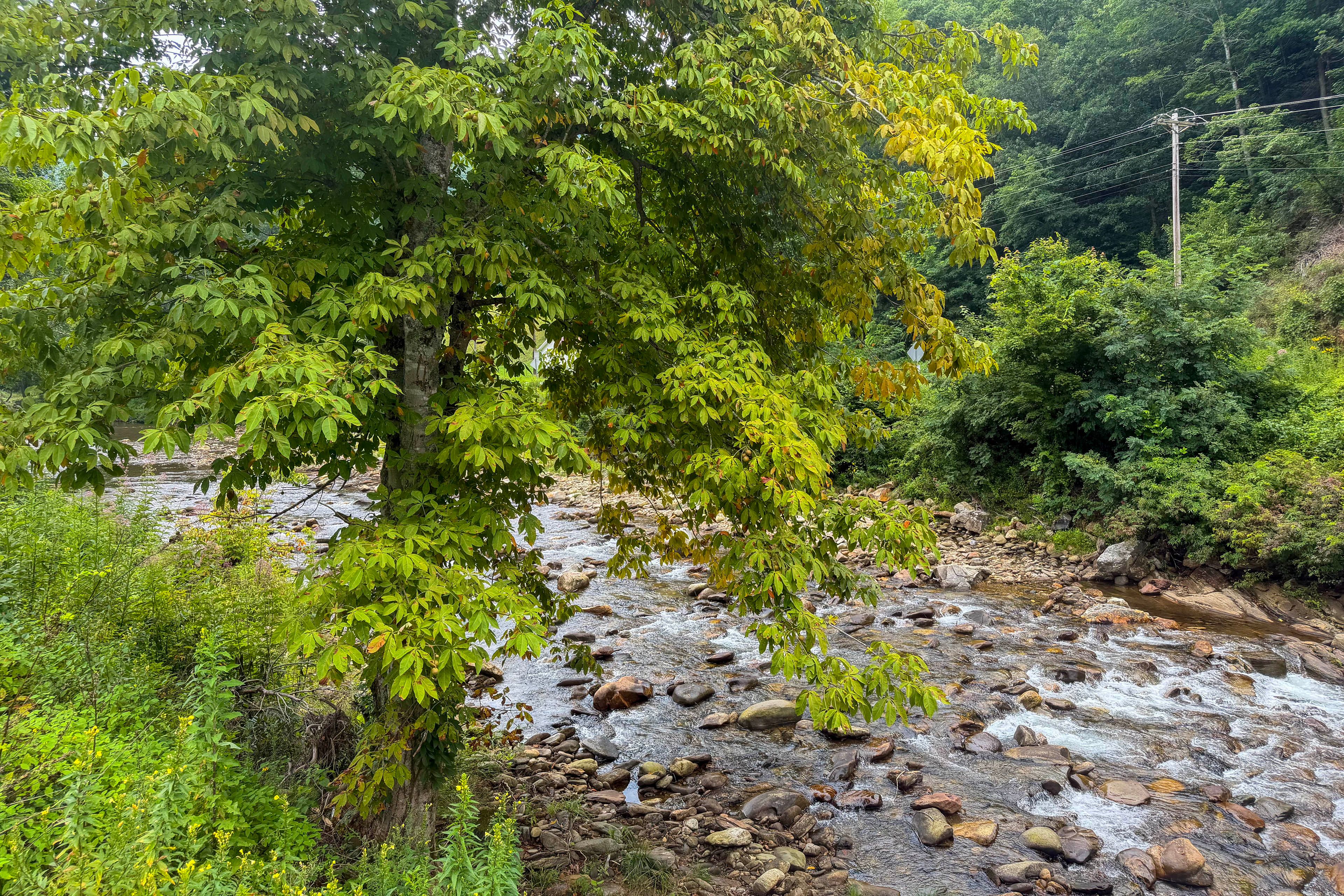 Riverfront