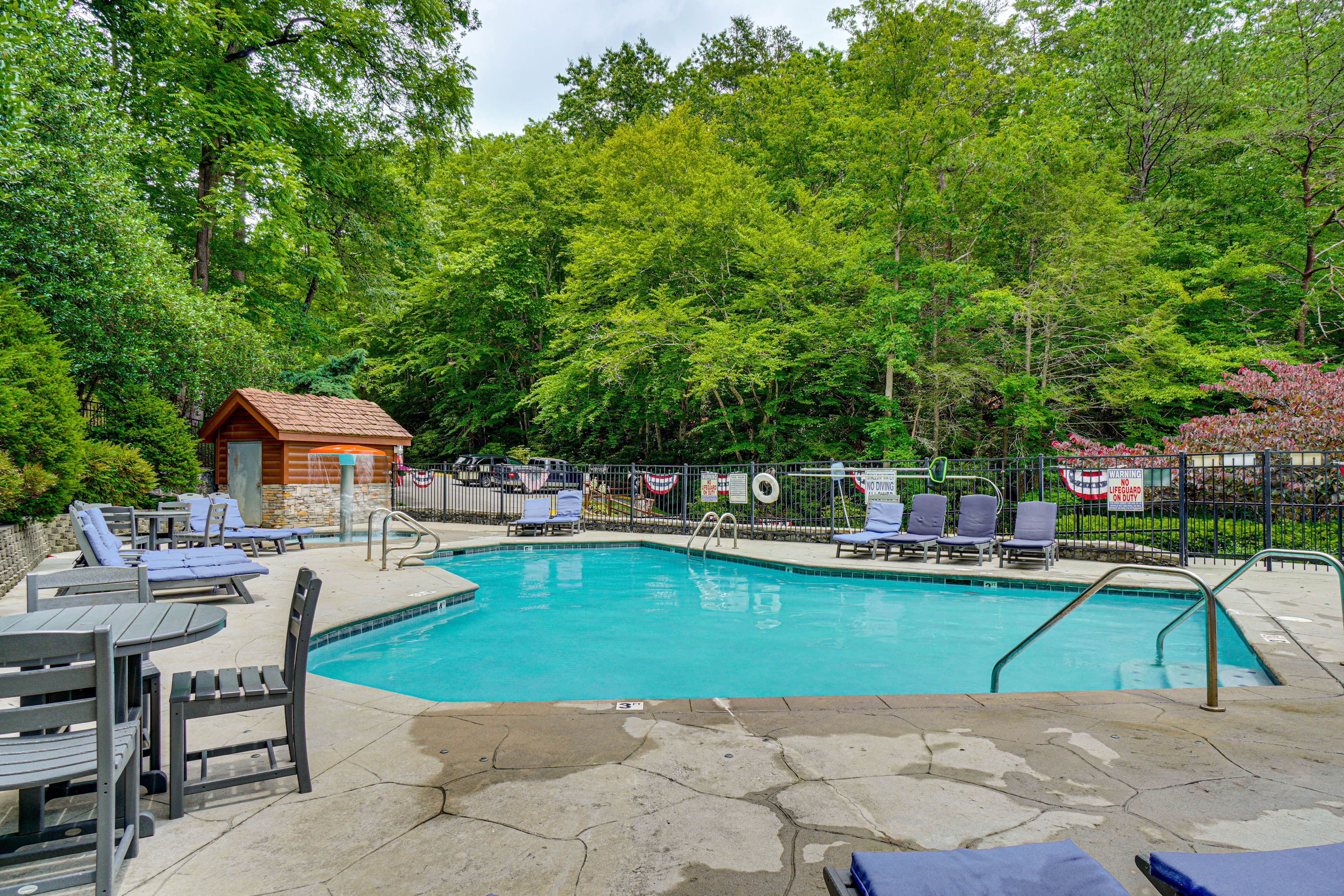 Black Bear Falls | Community Pool