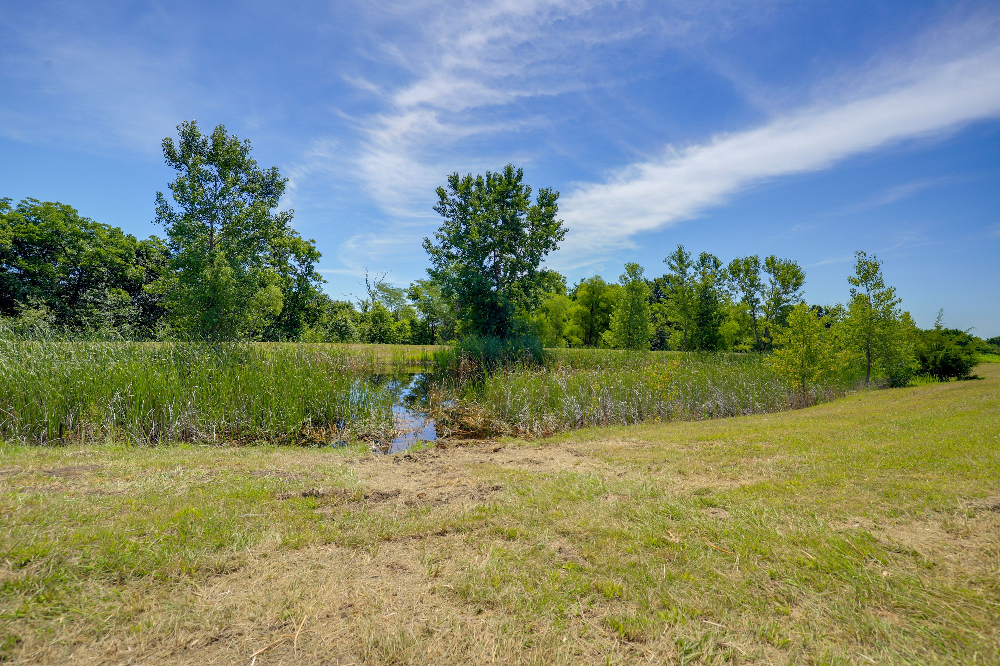 Pond On-Site