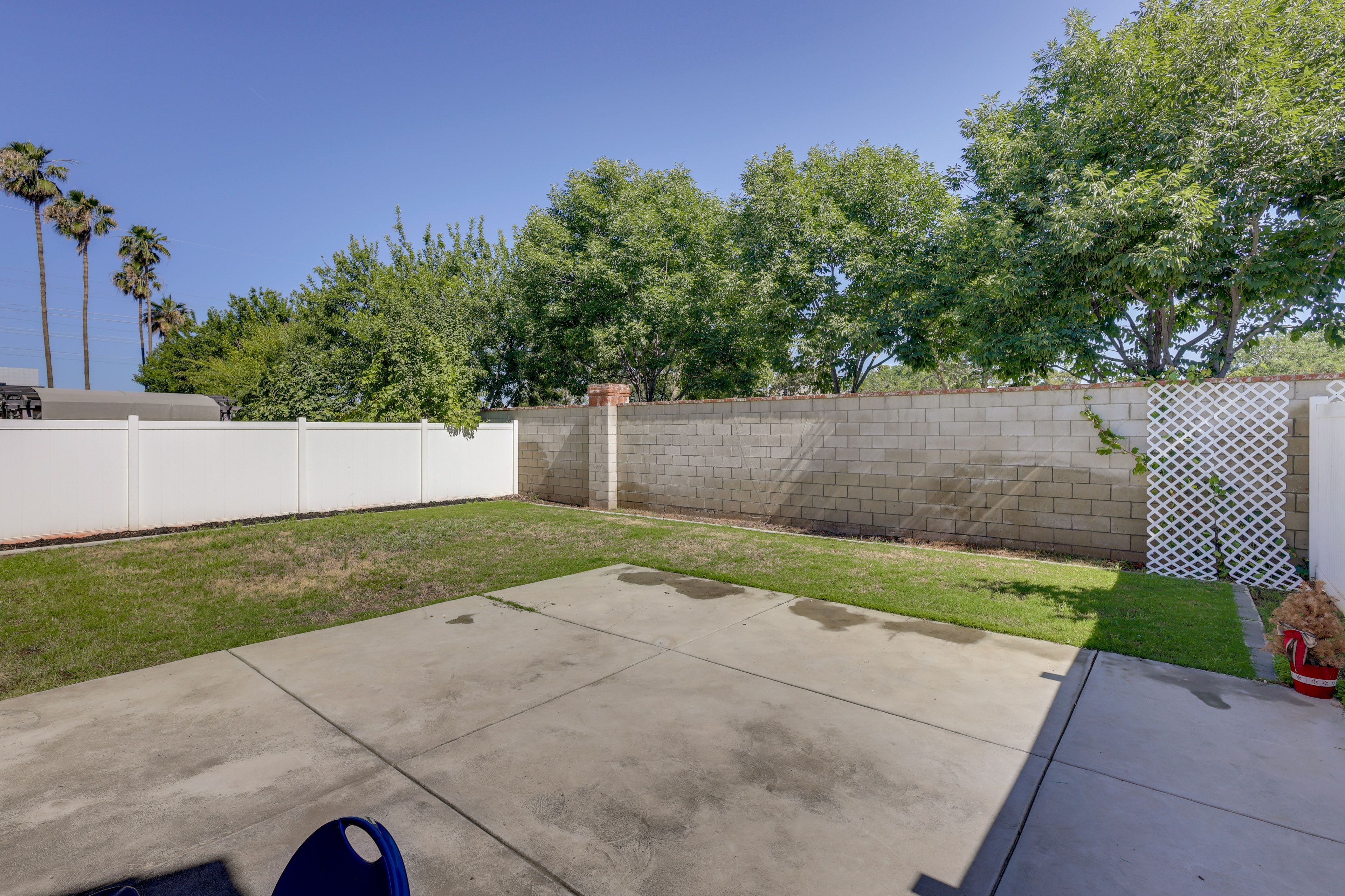Fenced Yard