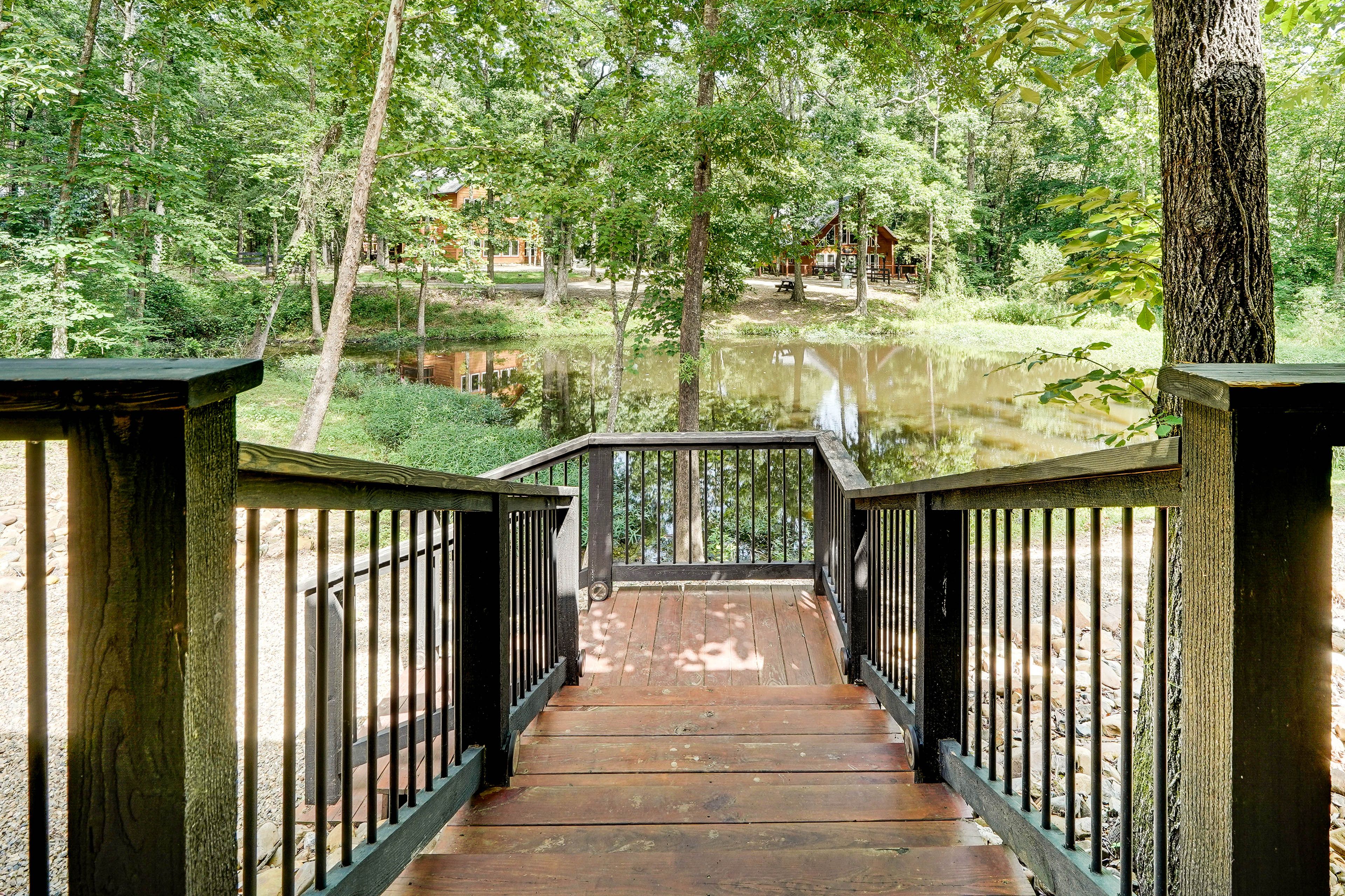 Pond Views
