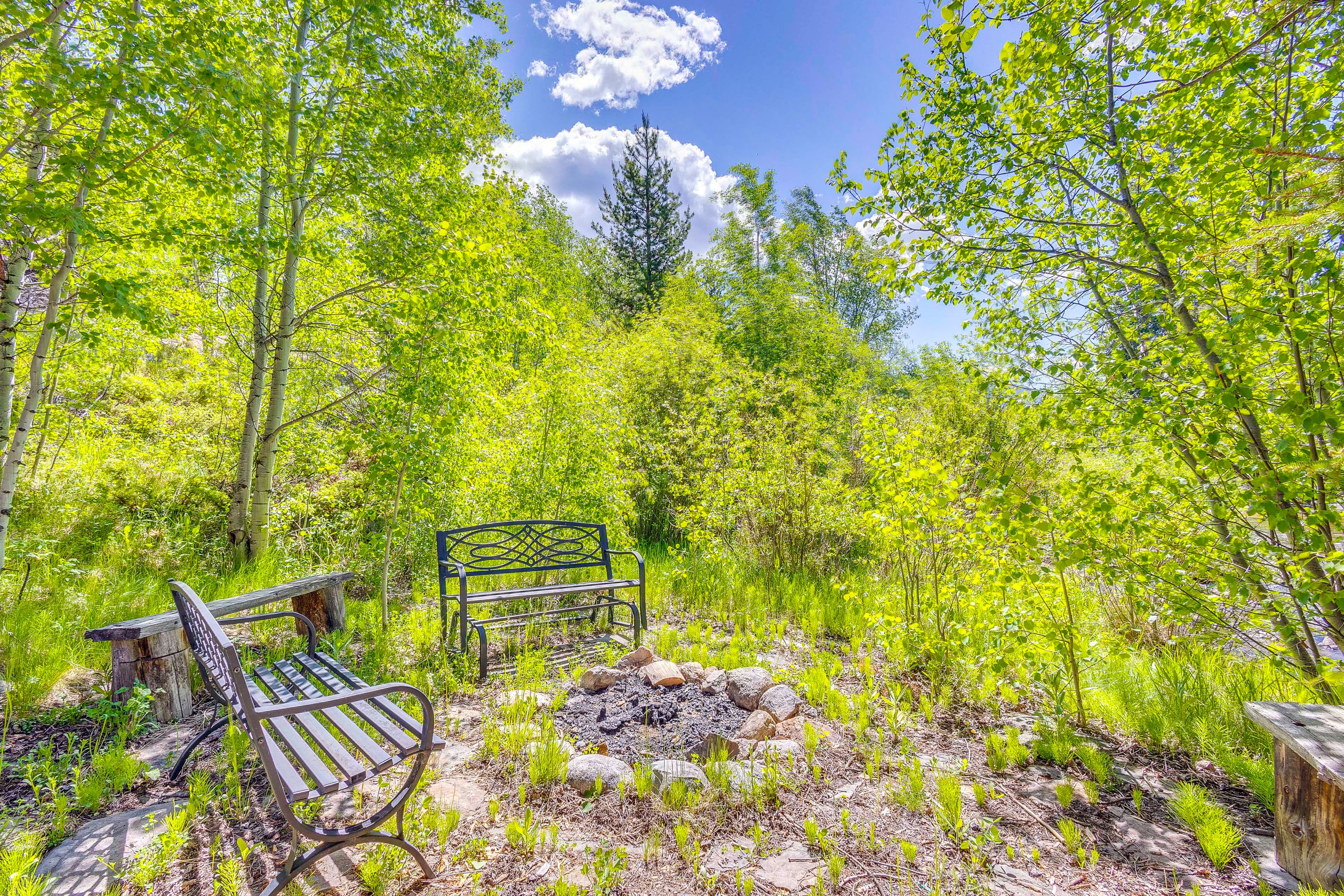 Fire Pit Area