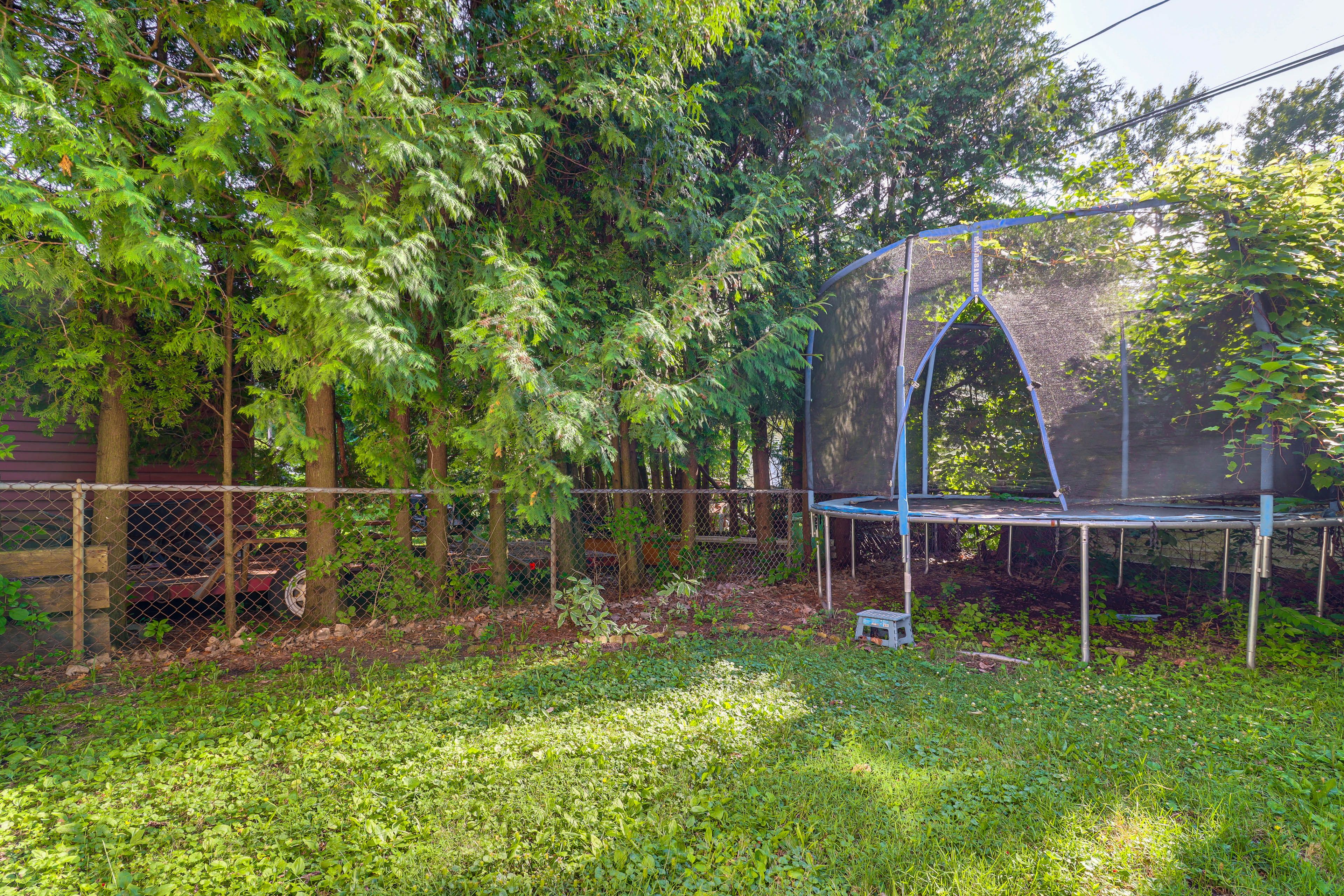 Image 29