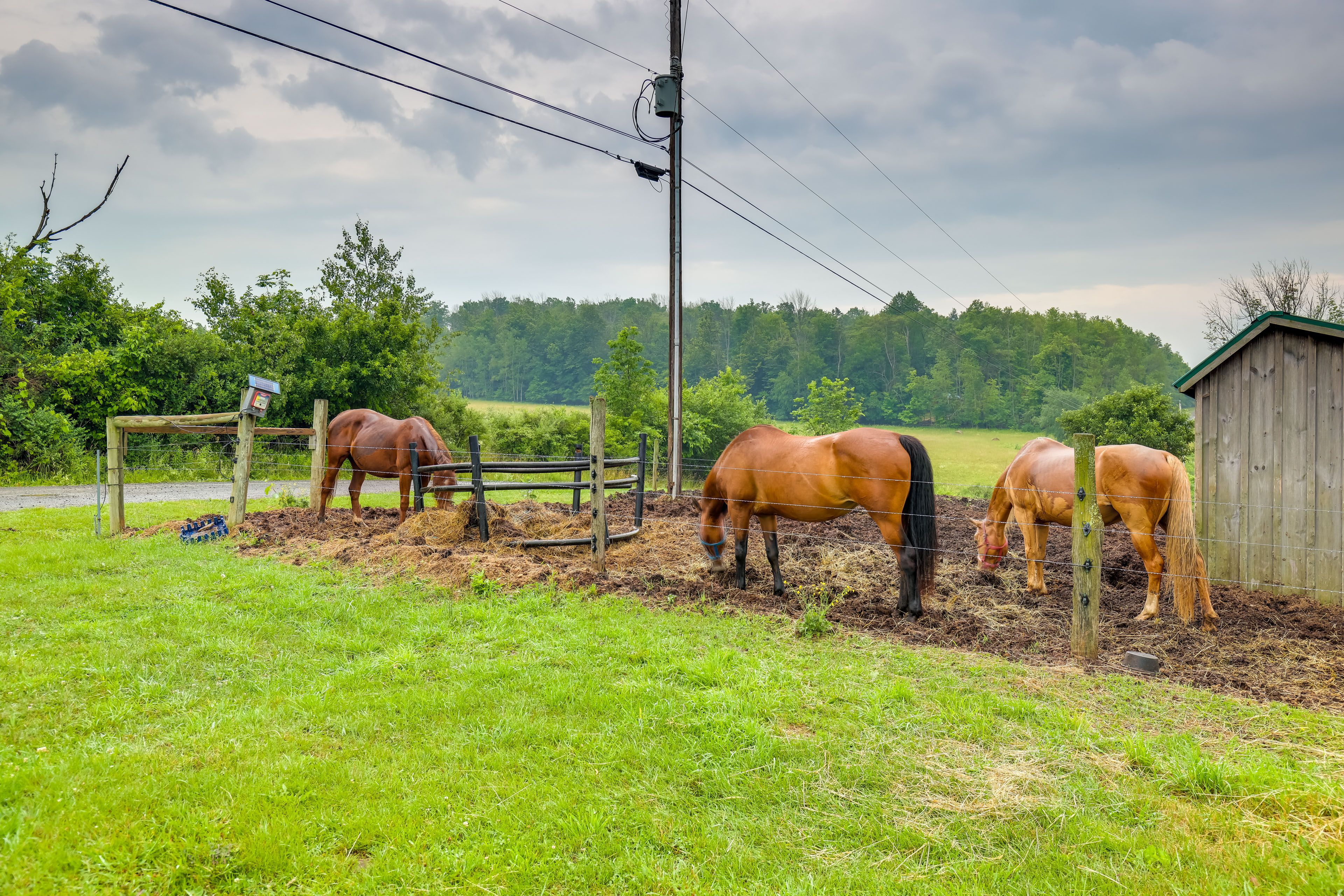 Horse Riding & Hiking Trails On-Site | 400 Acres