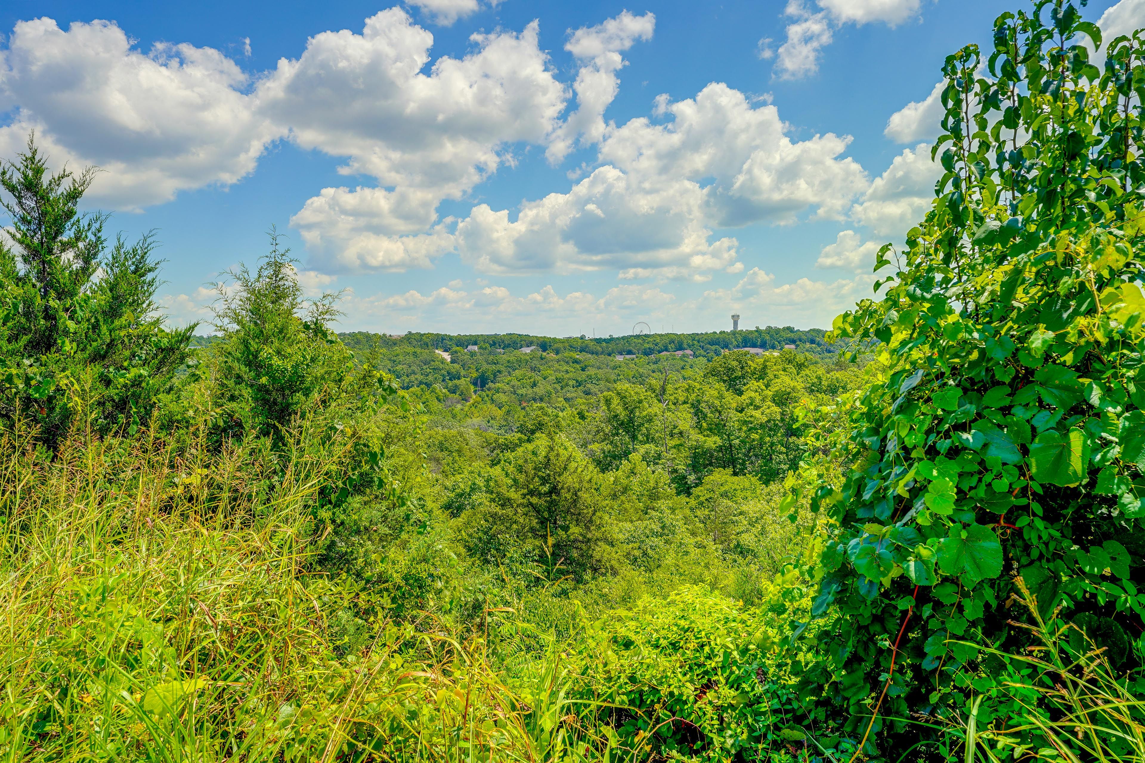 Views From Patio