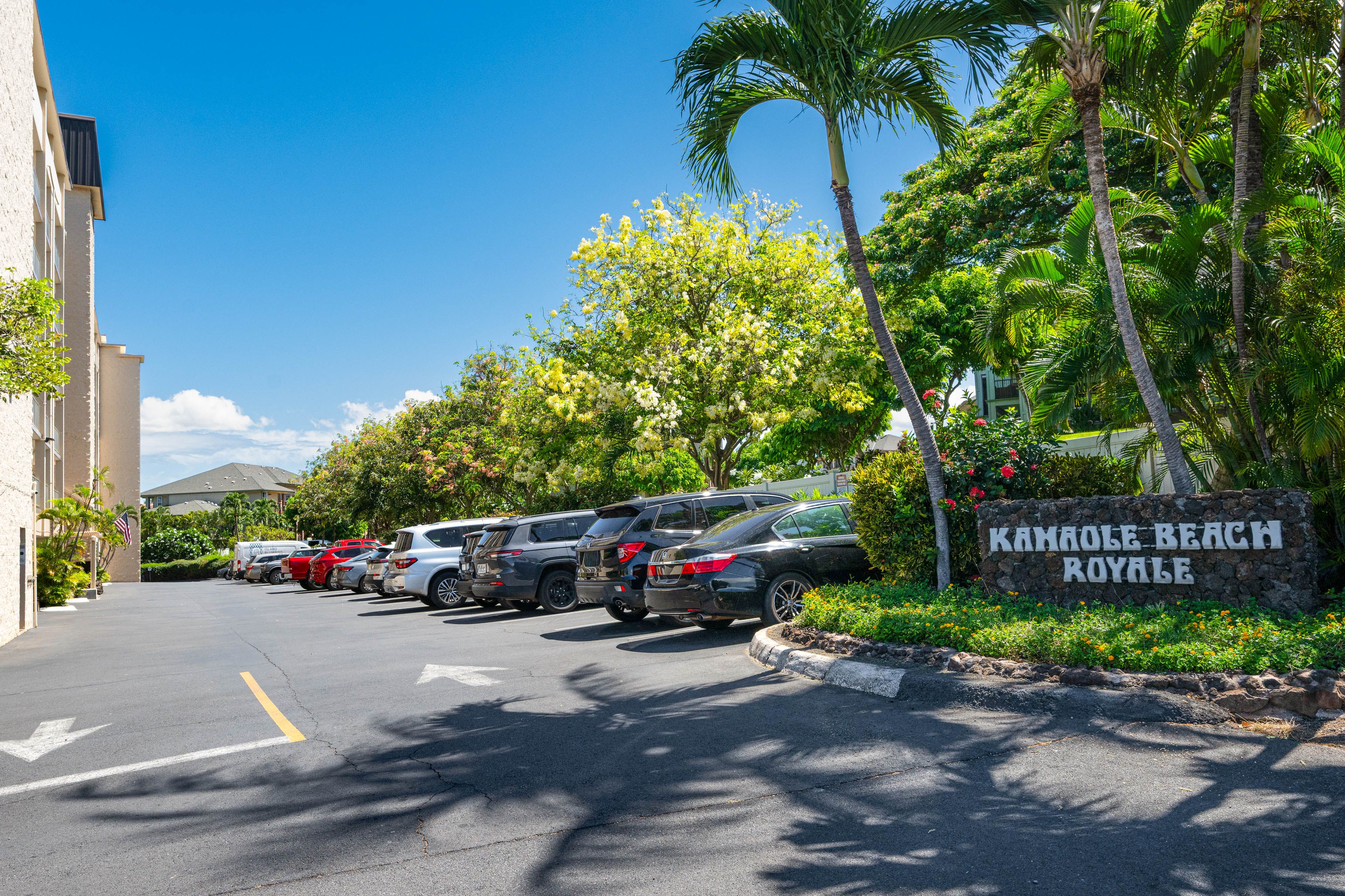 Parking | Community Lot (1 Vehicle)