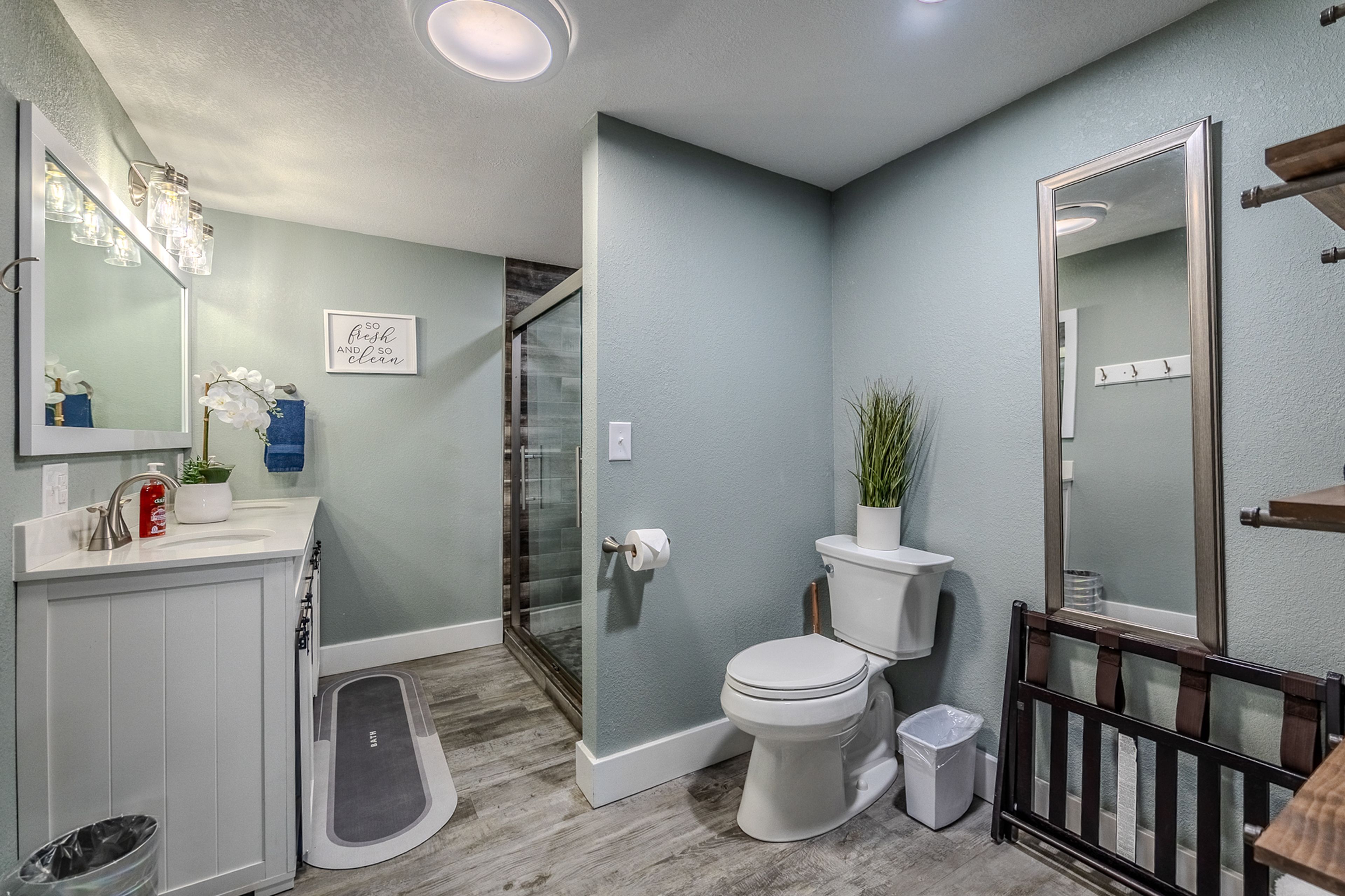 Bathroom | Lower Floor