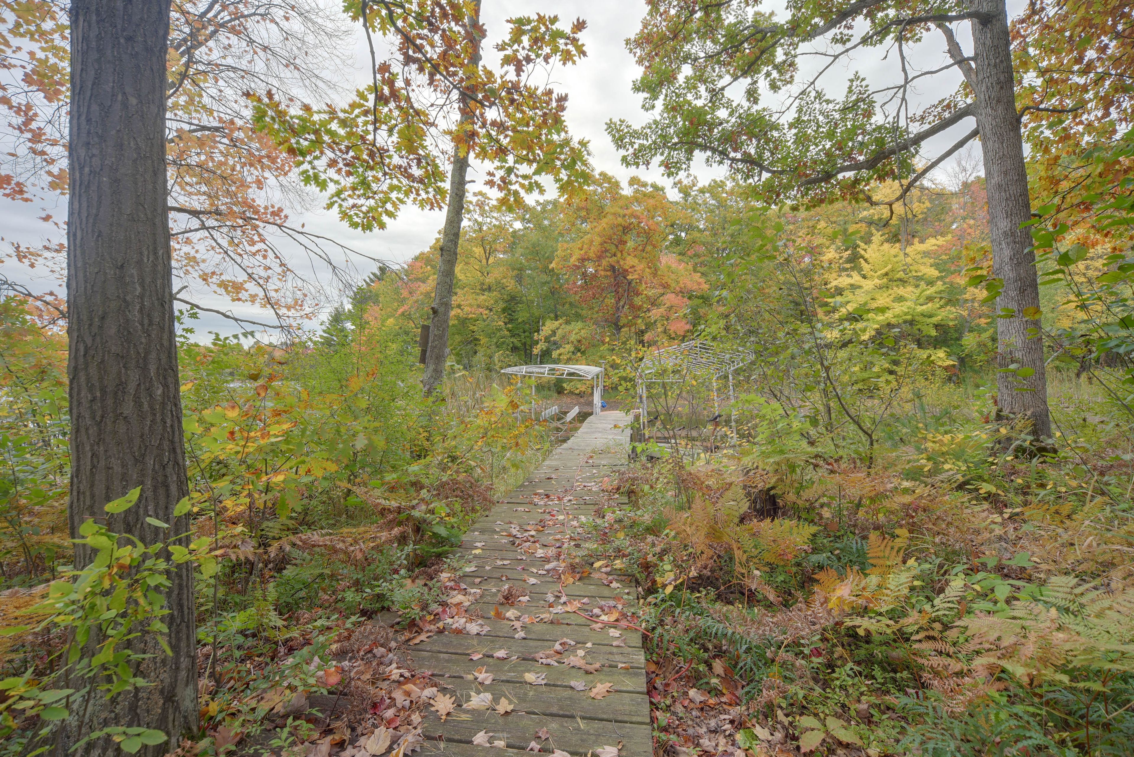 Image 19