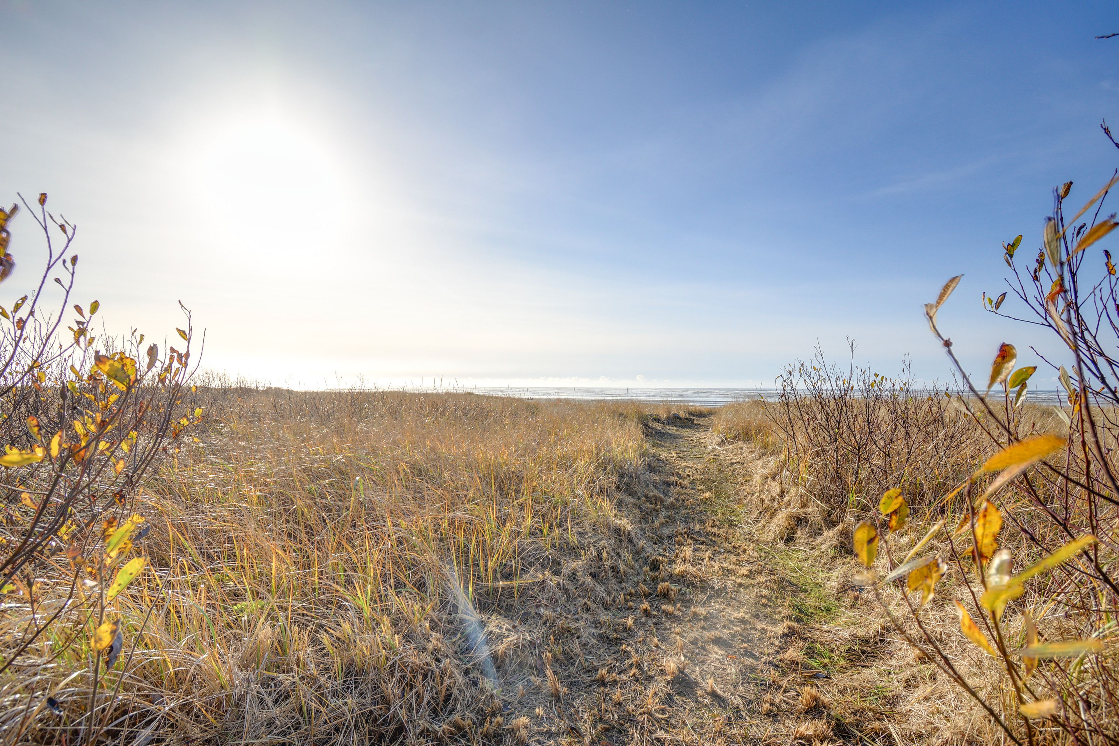 Footpath to Beach