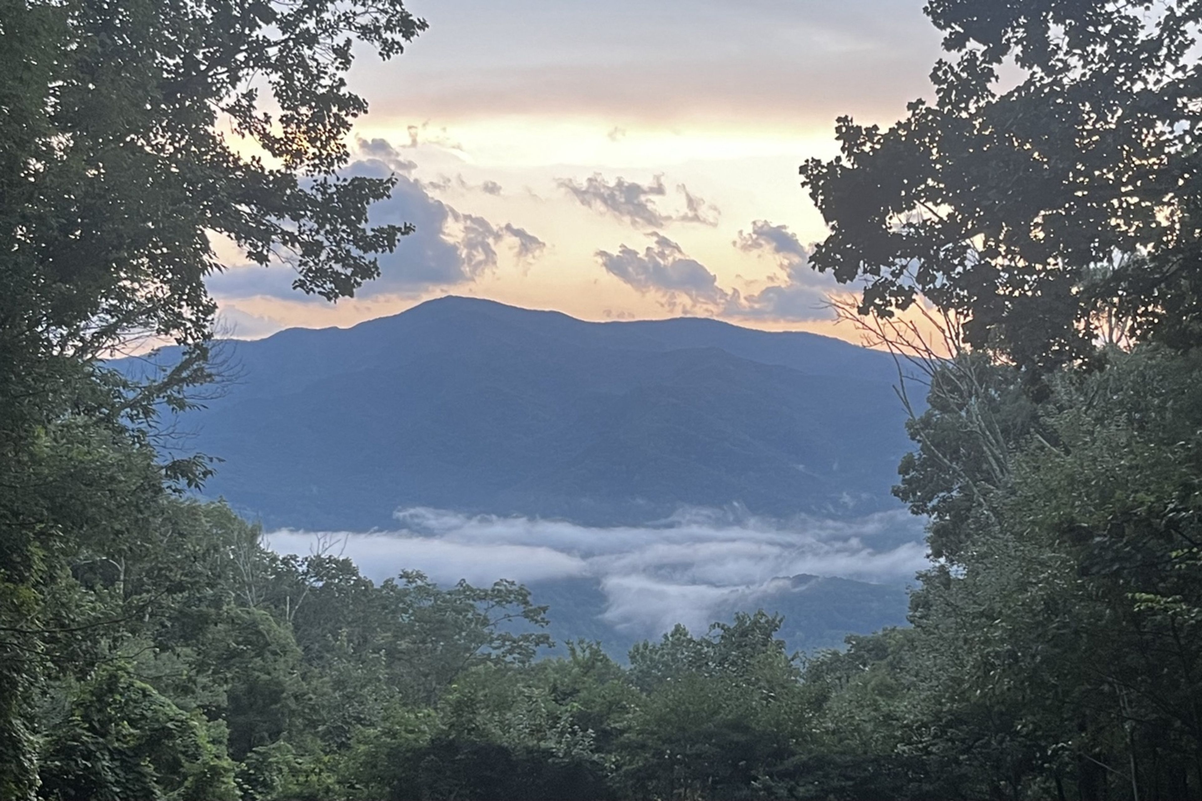 Image 31