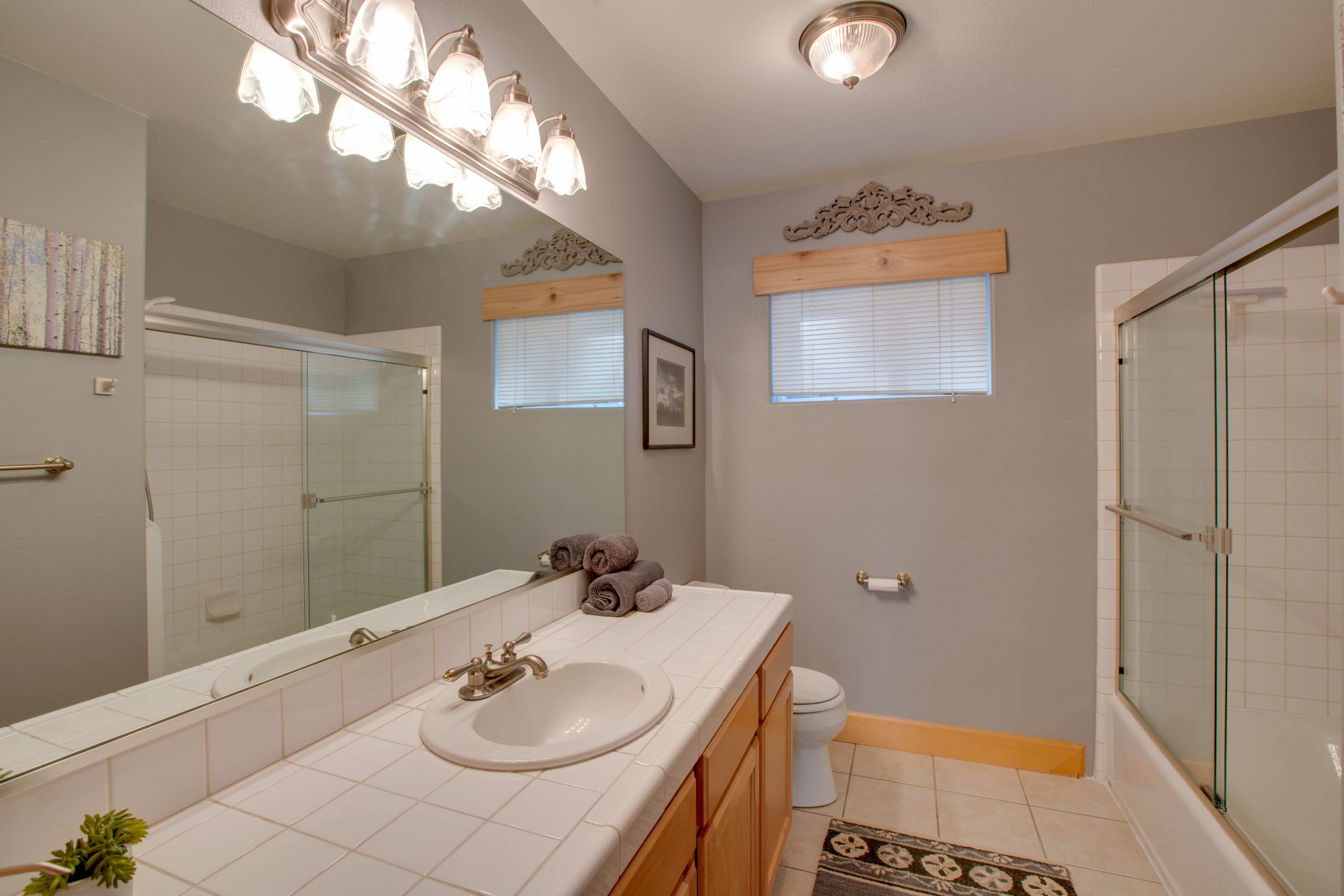 Bathroom | Lower Floor