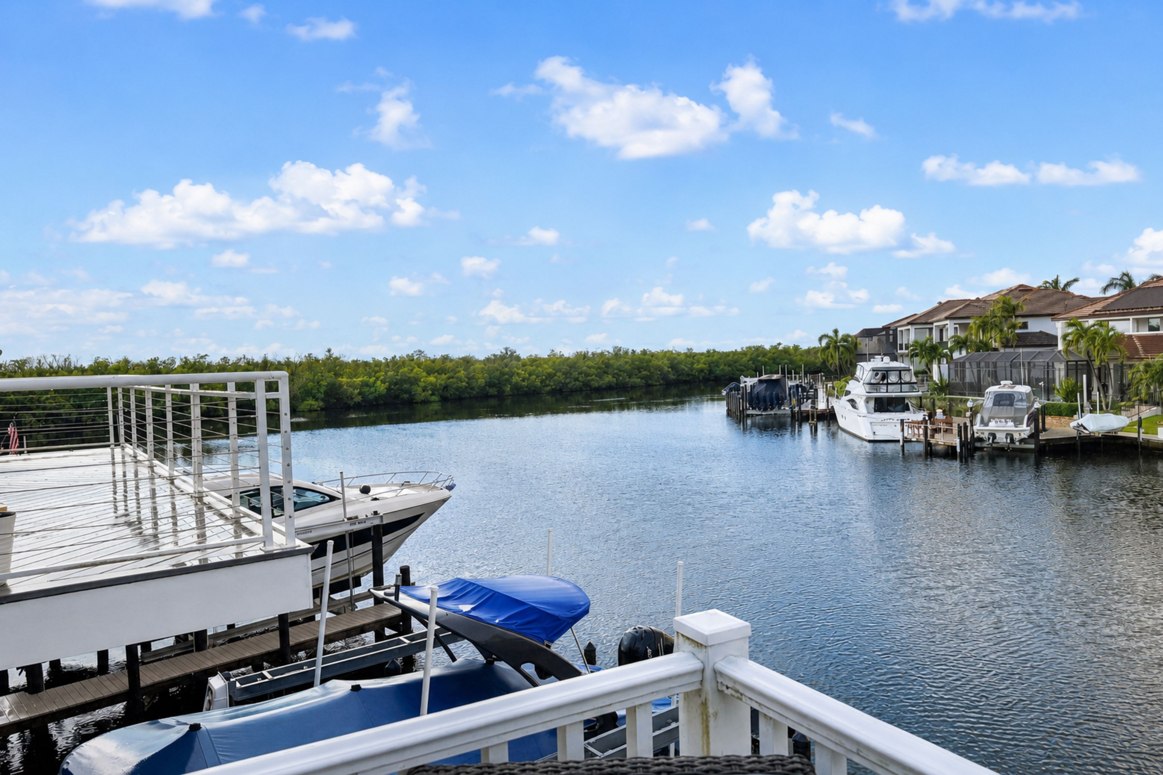 Deck Views