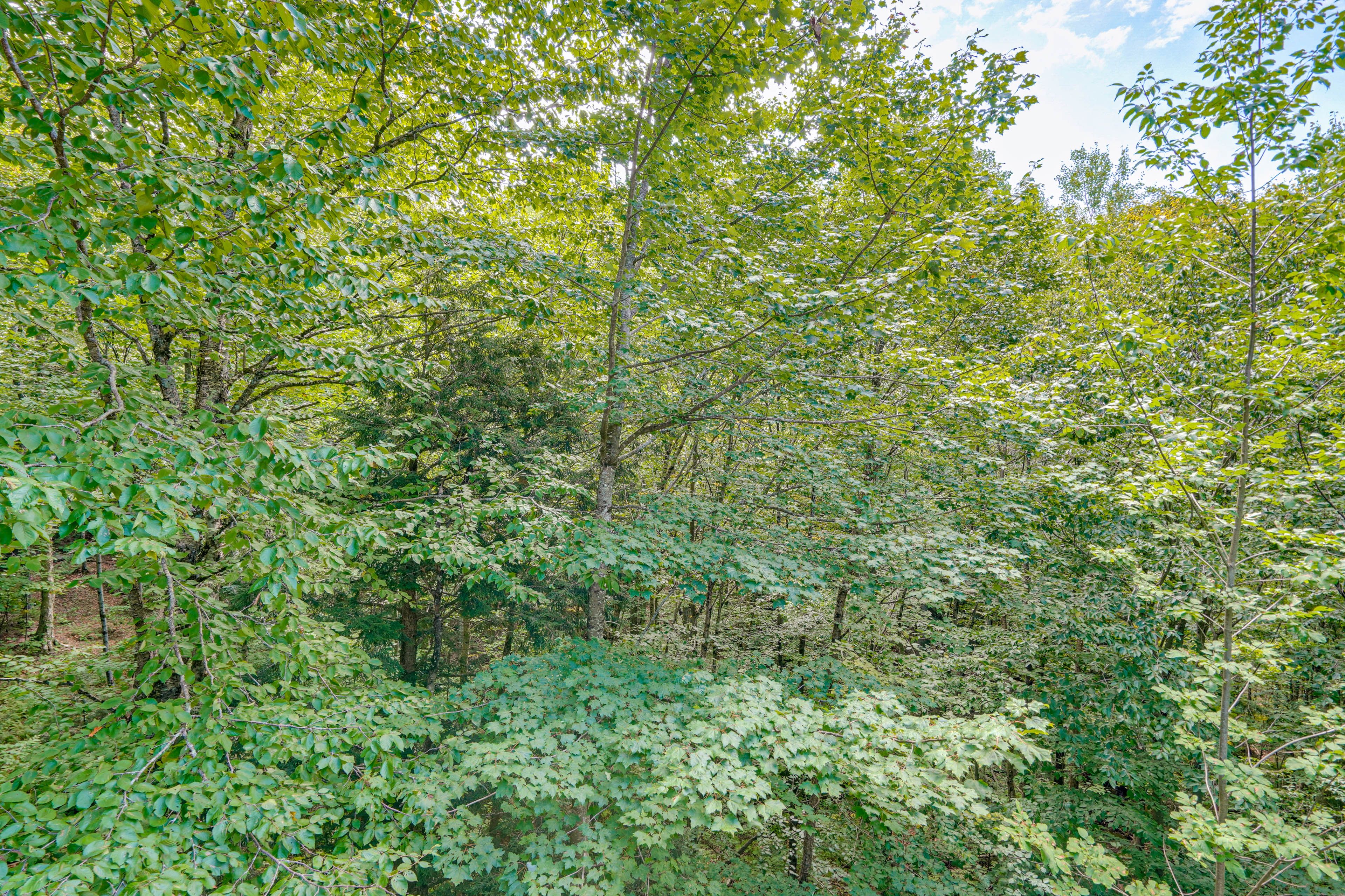 Image 37