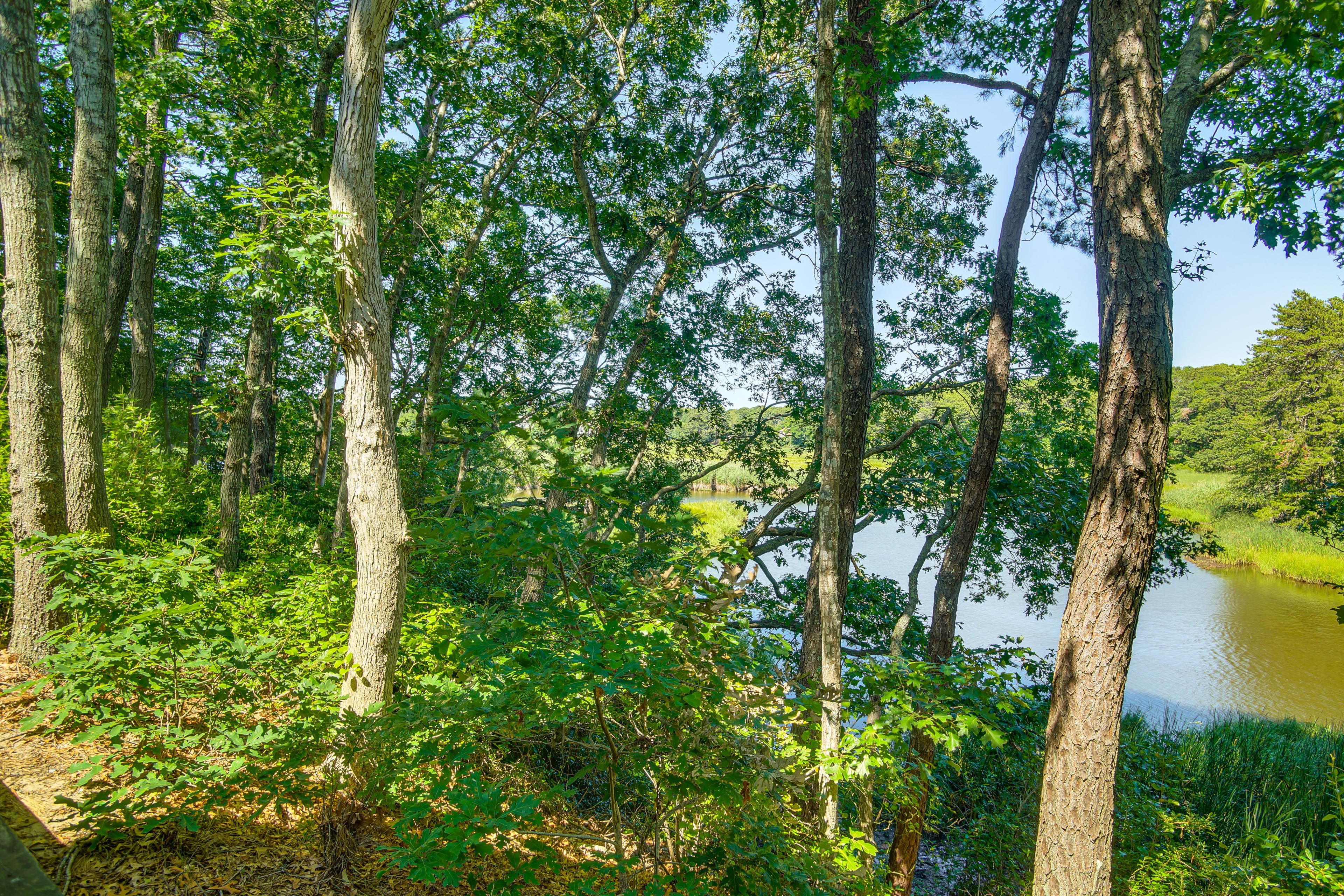 River Views