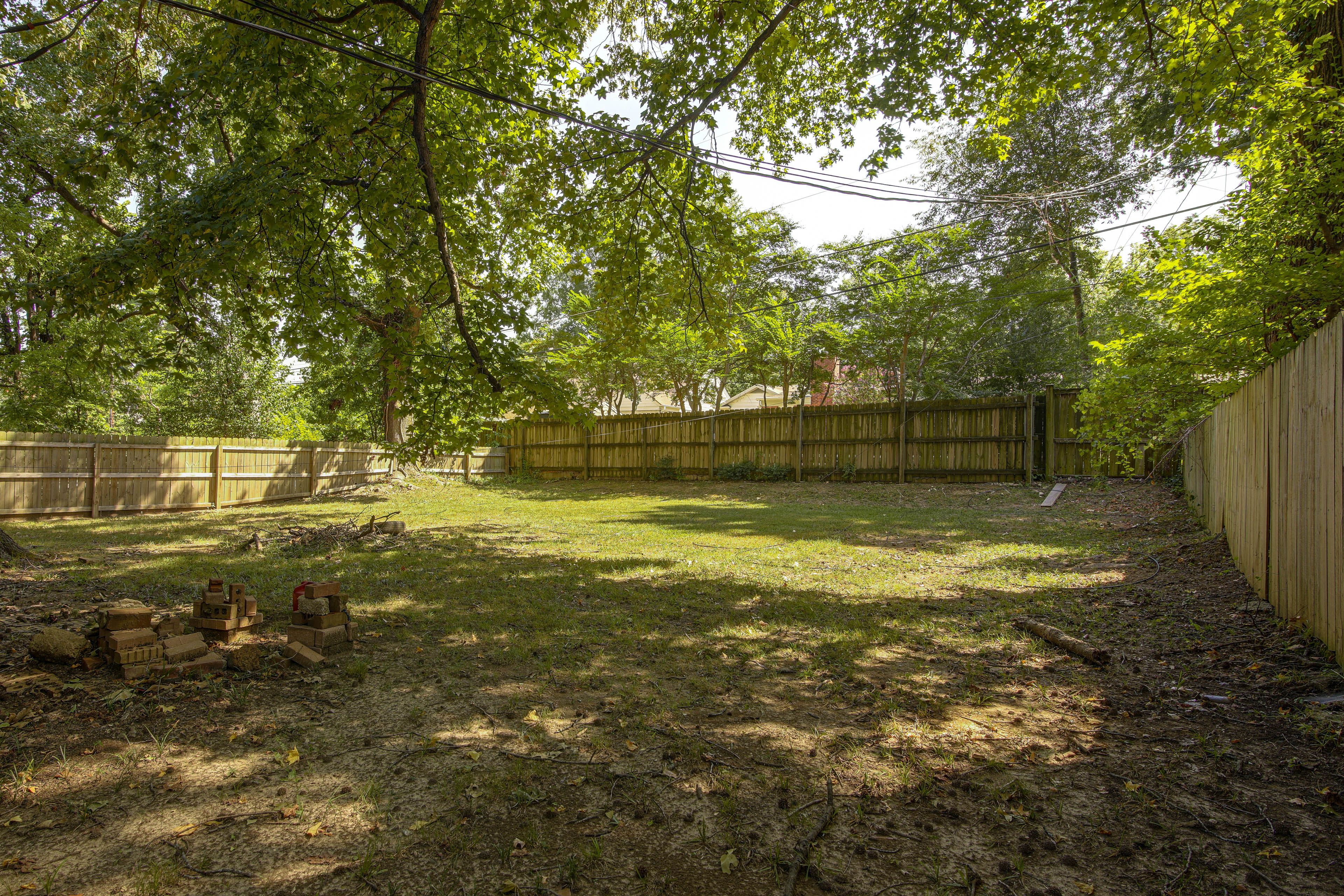 Shared Backyard