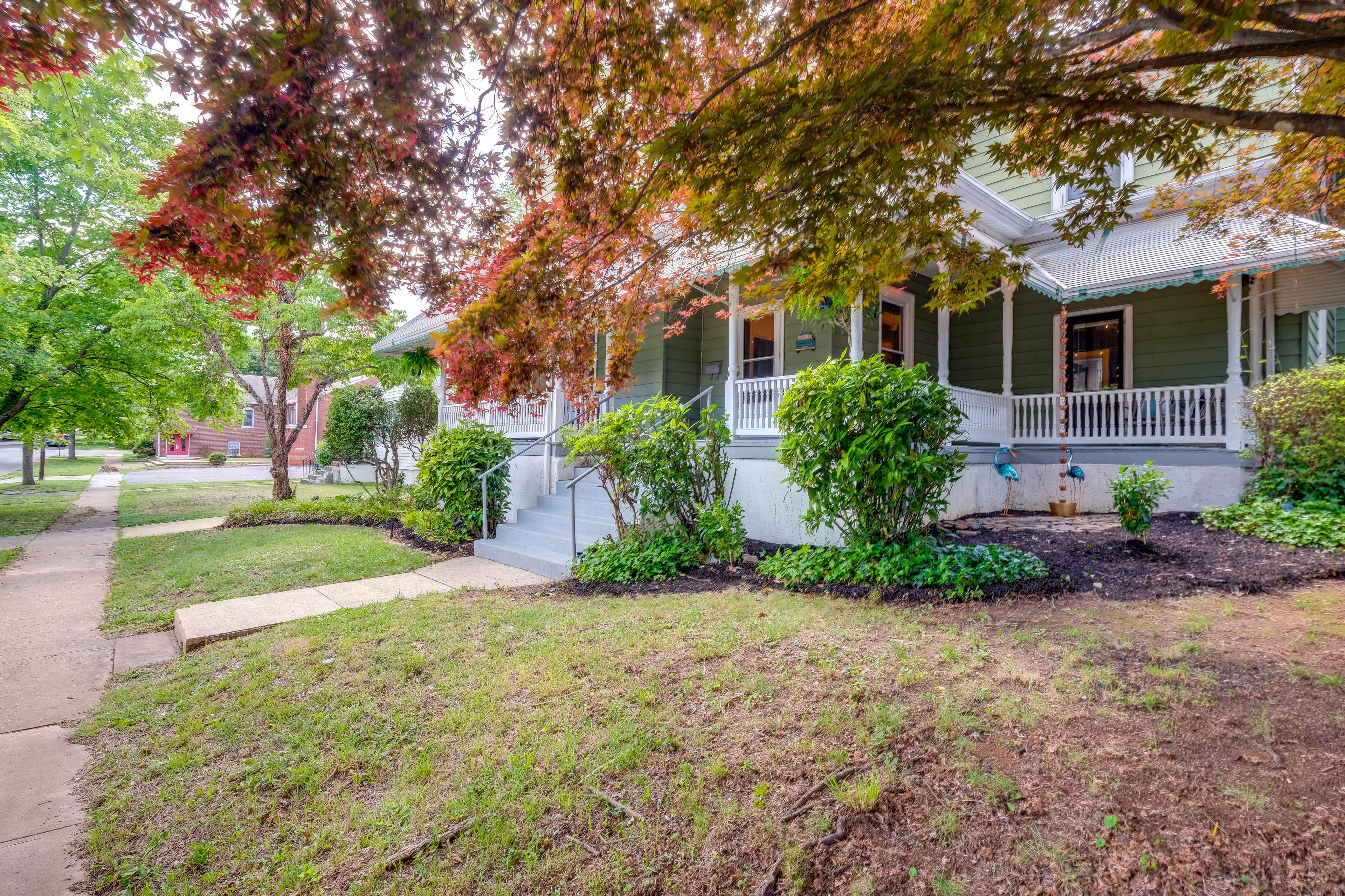 Image 50
