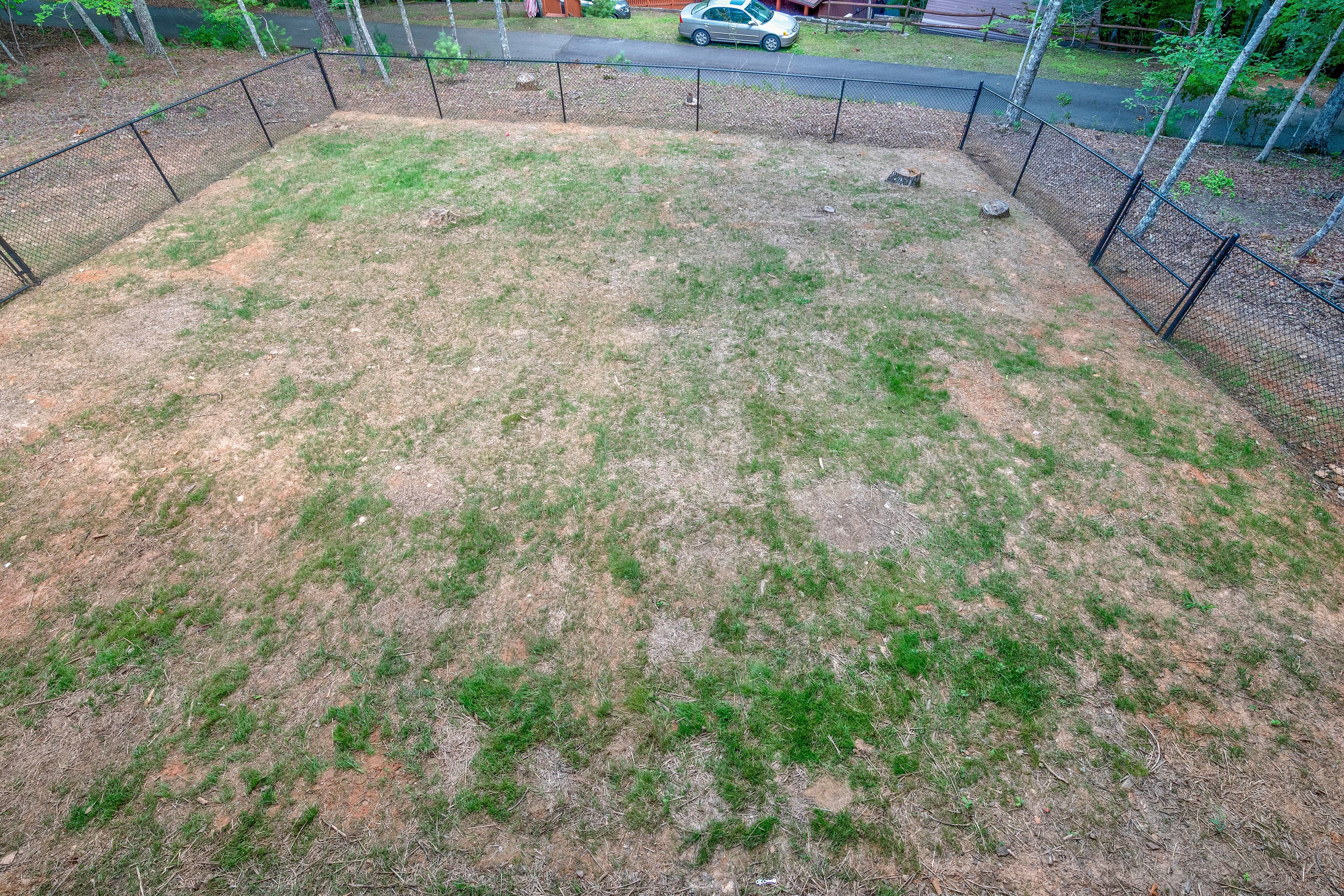 Fenced Backyard