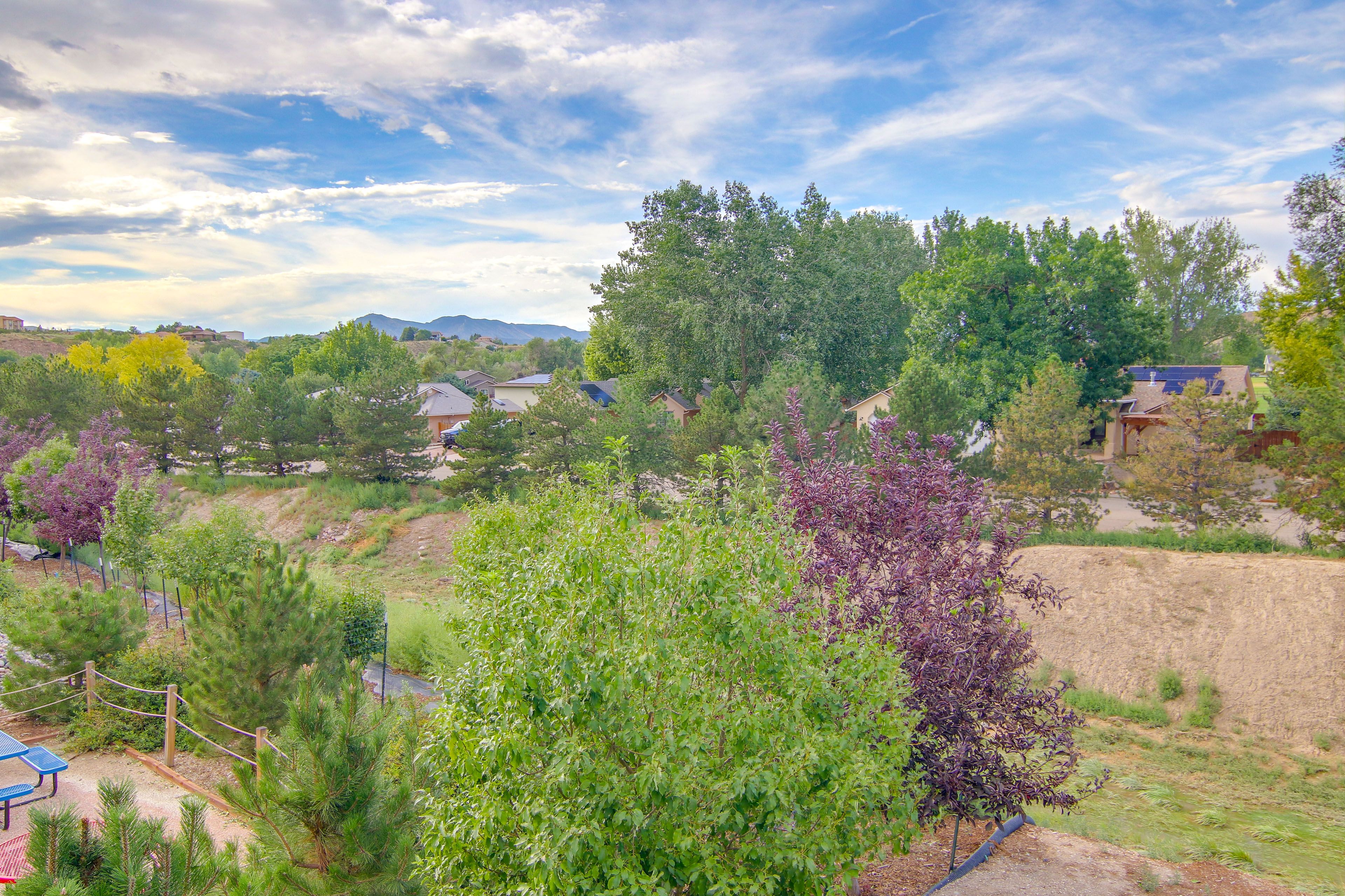 Property Views