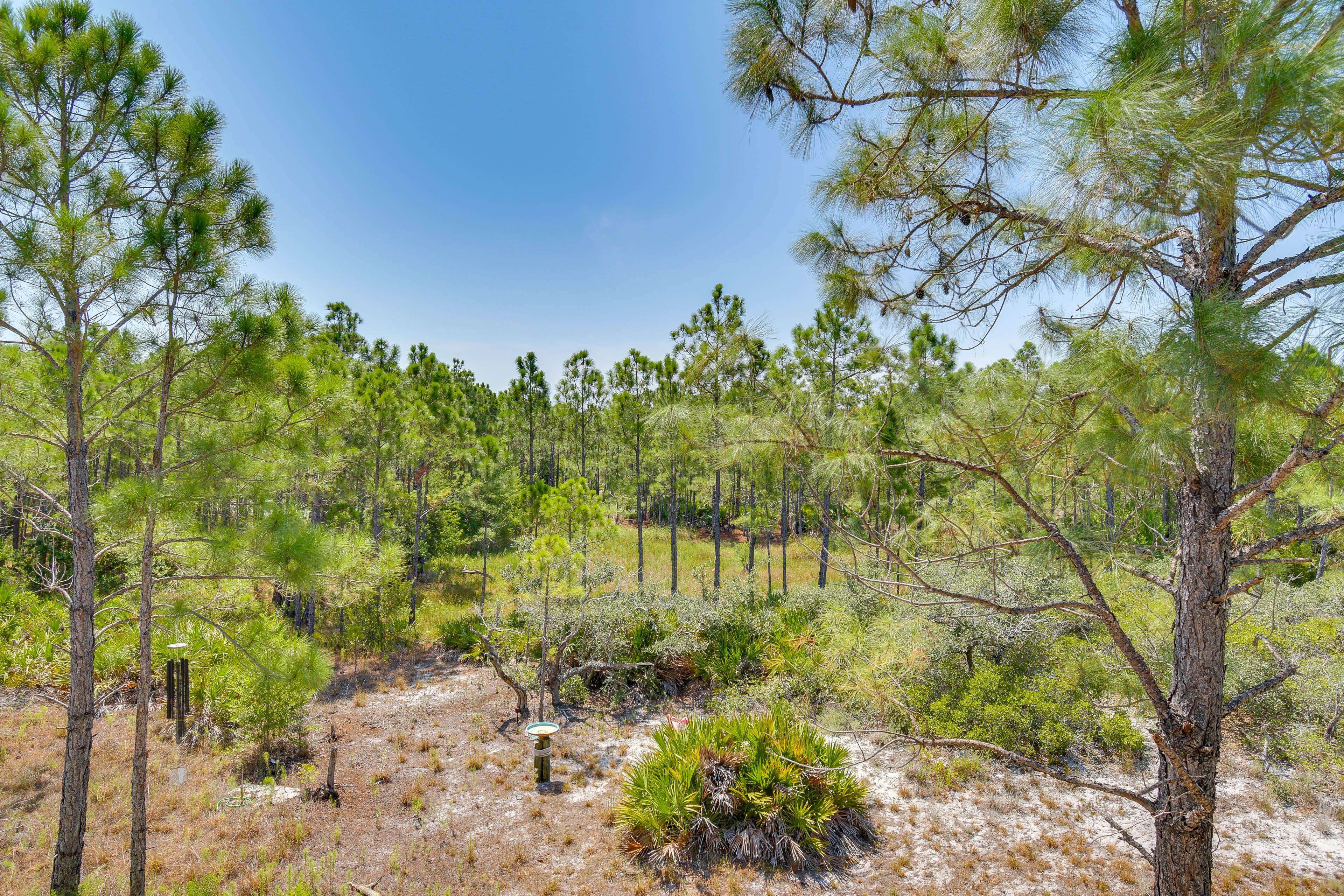 Nature View