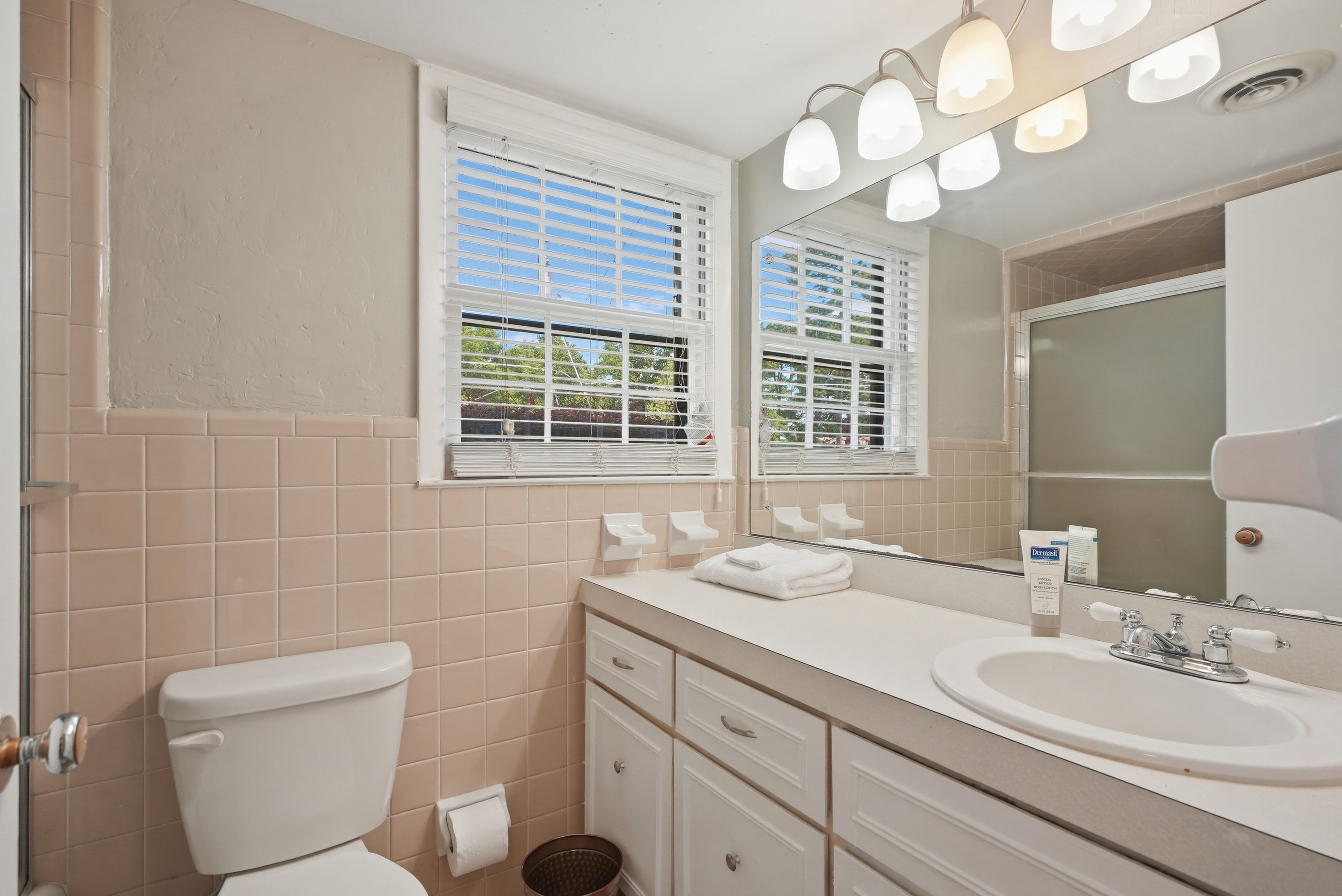 Bathroom | Lower Floor
