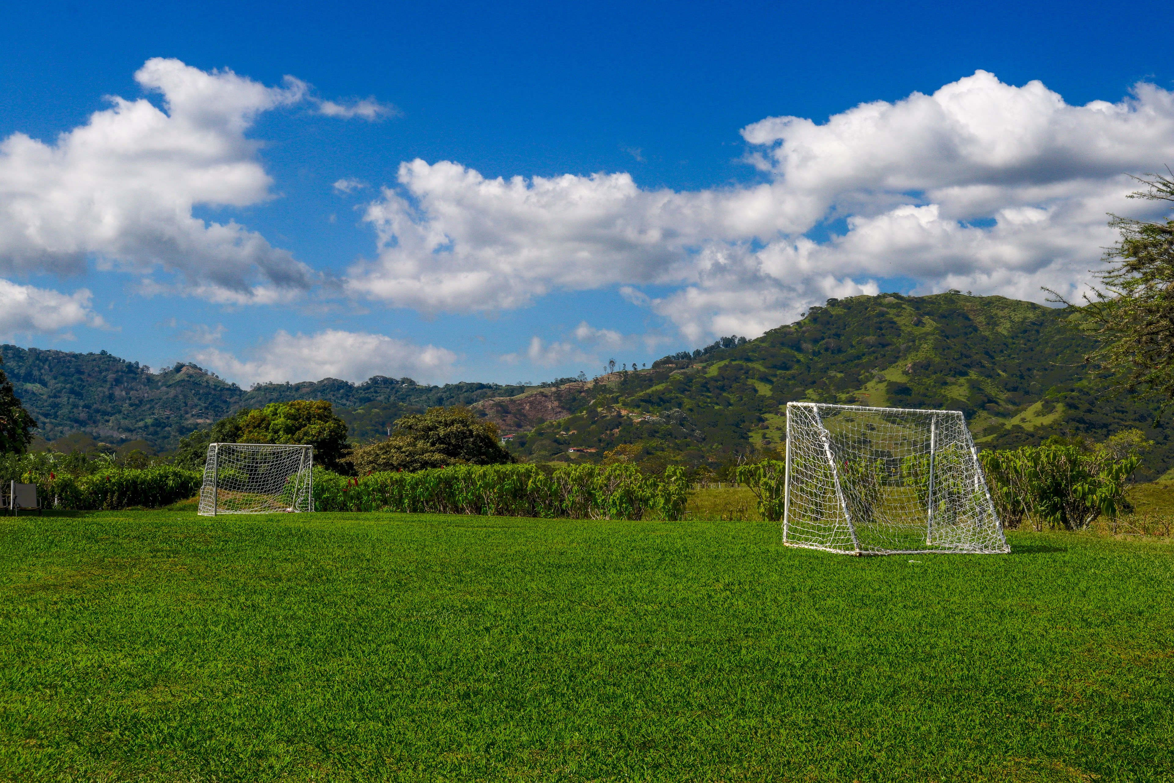 Soccer Field | Views