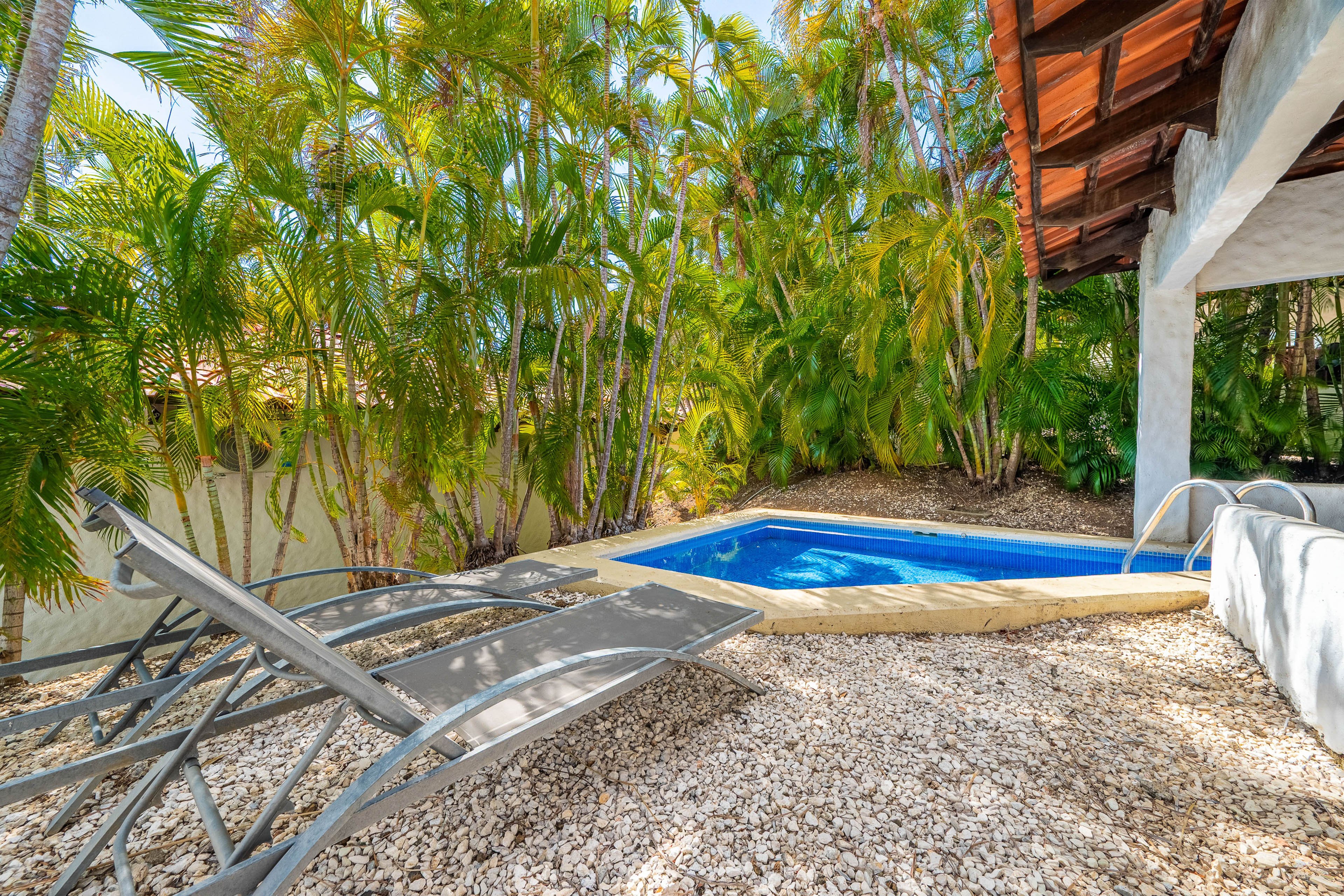 Private Plunge Pool