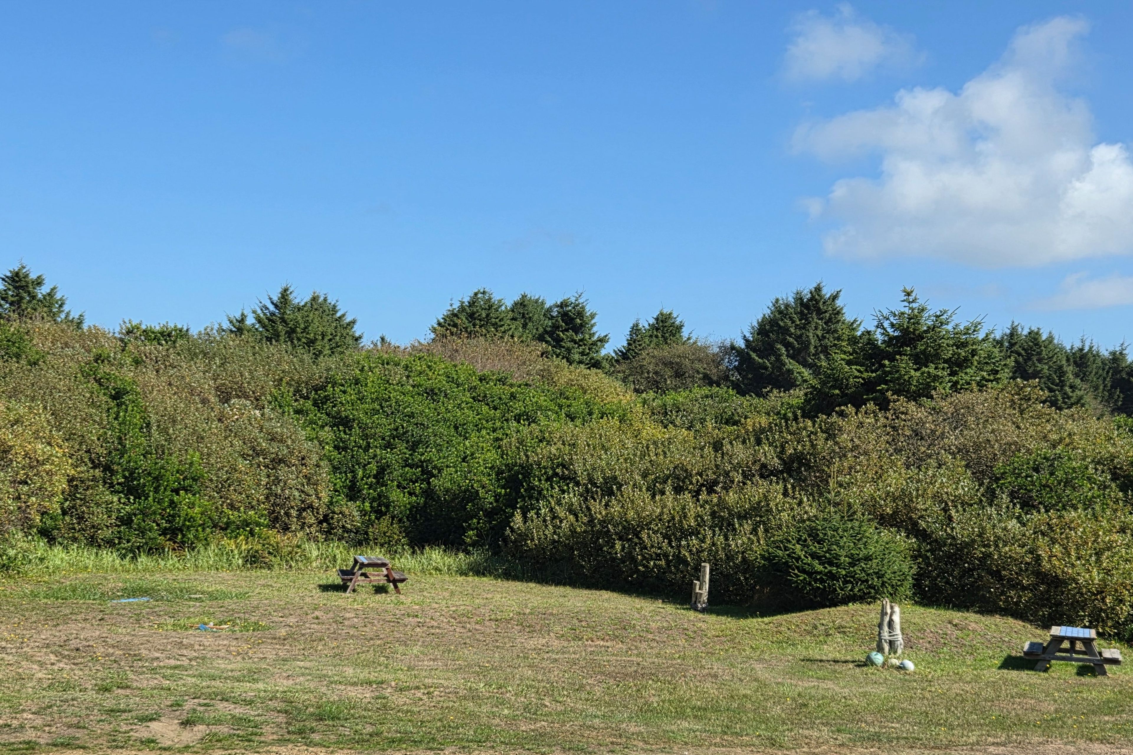 Community Picnic Area
