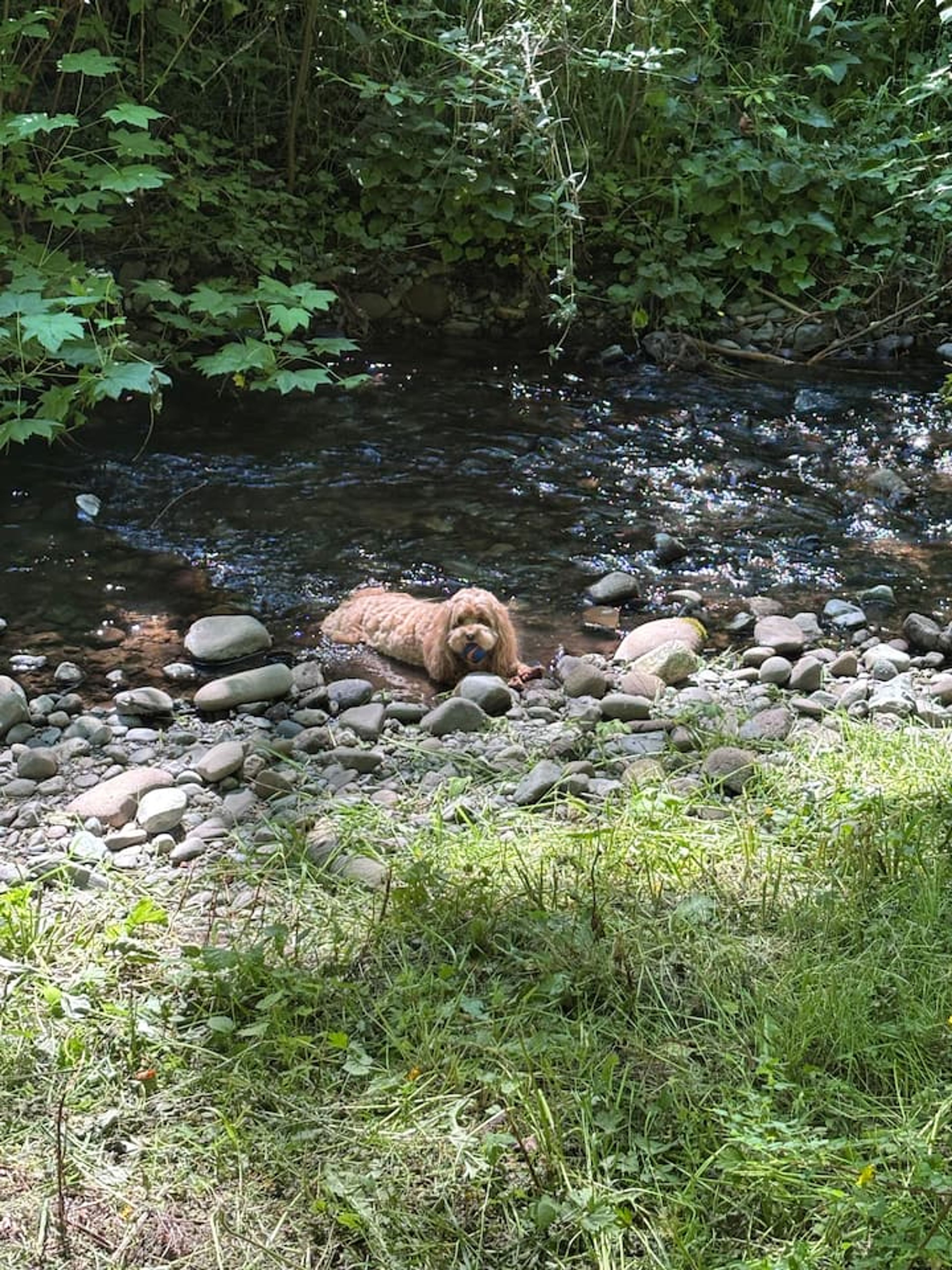 Image 32