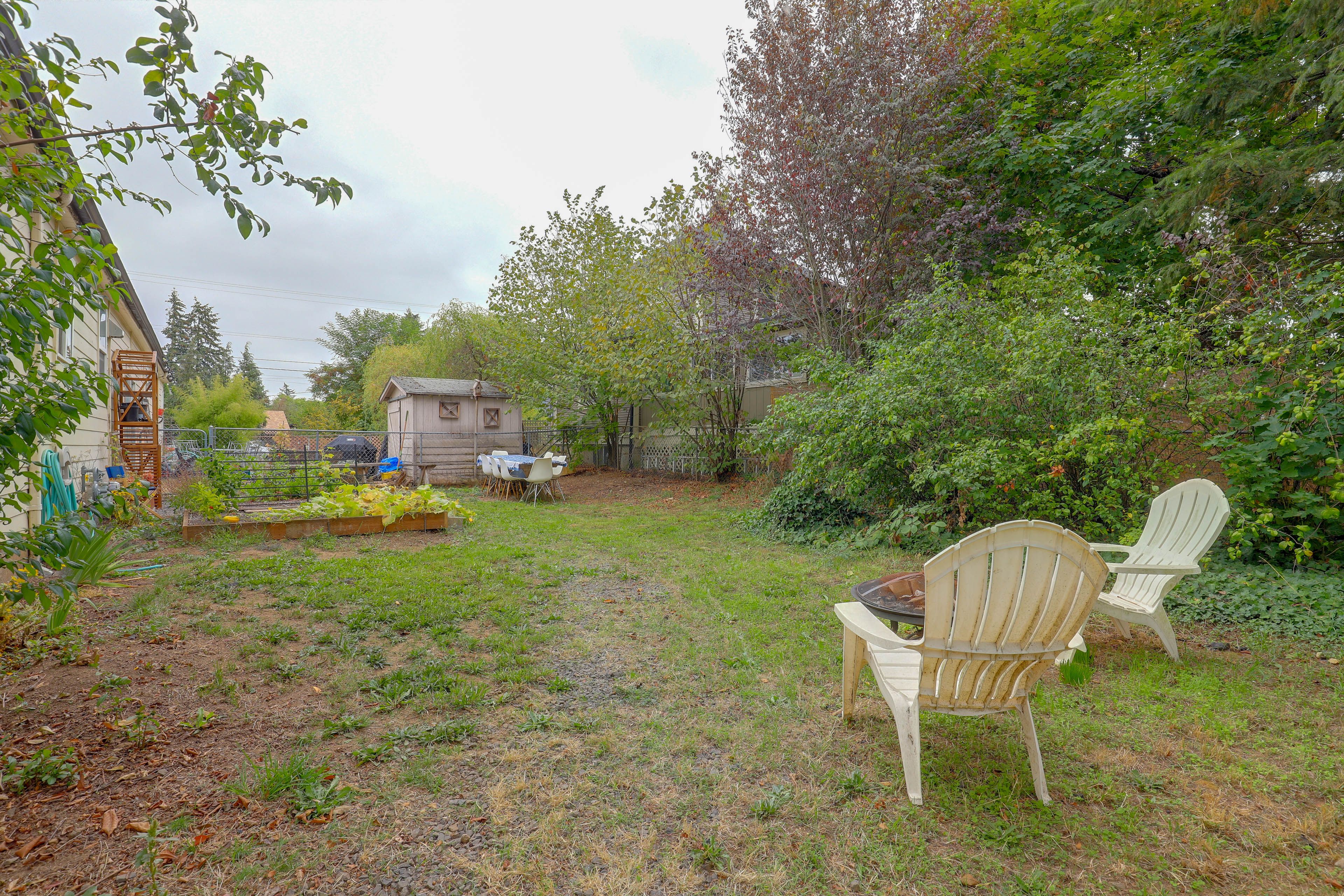 Image 19