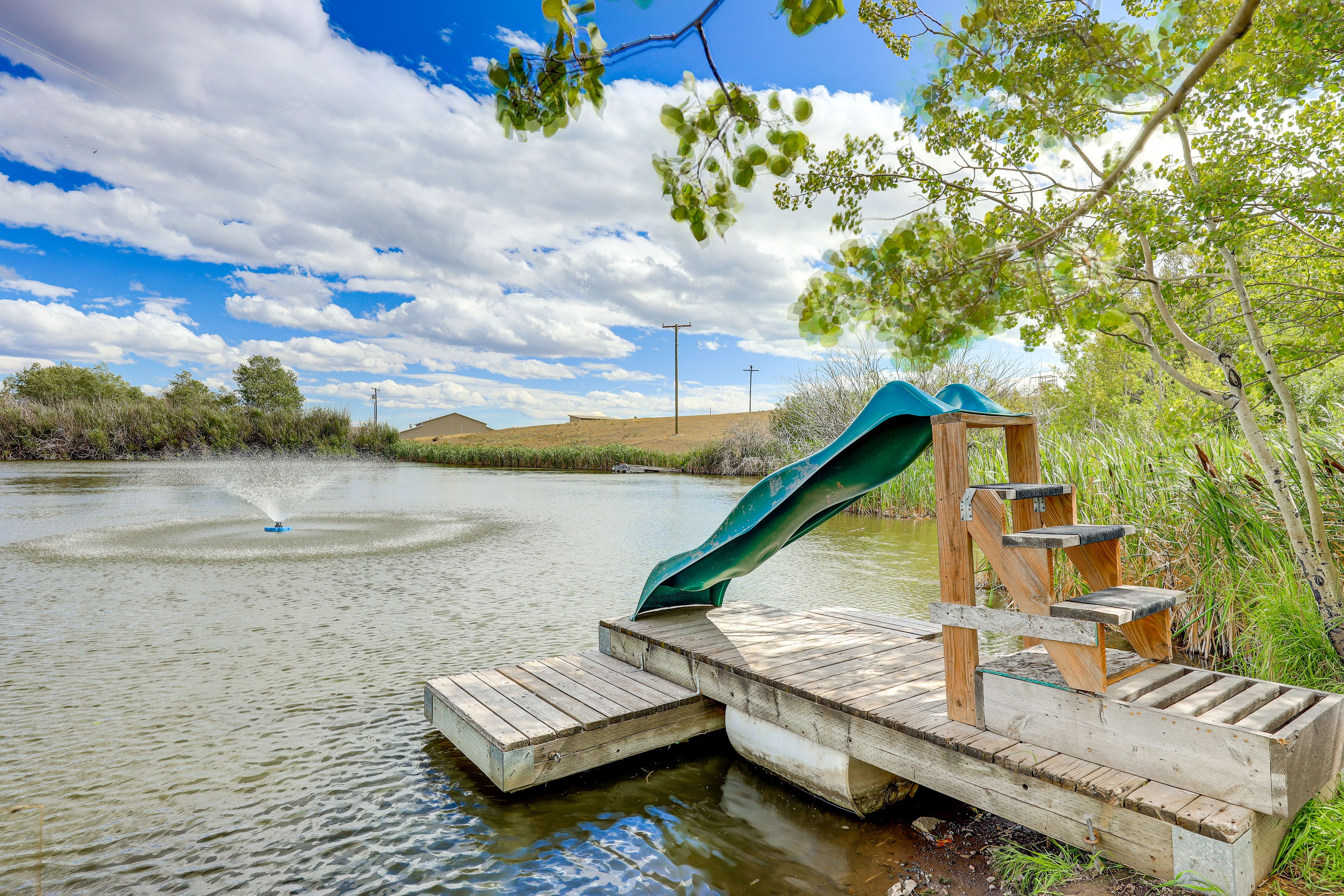 Pond On-Site