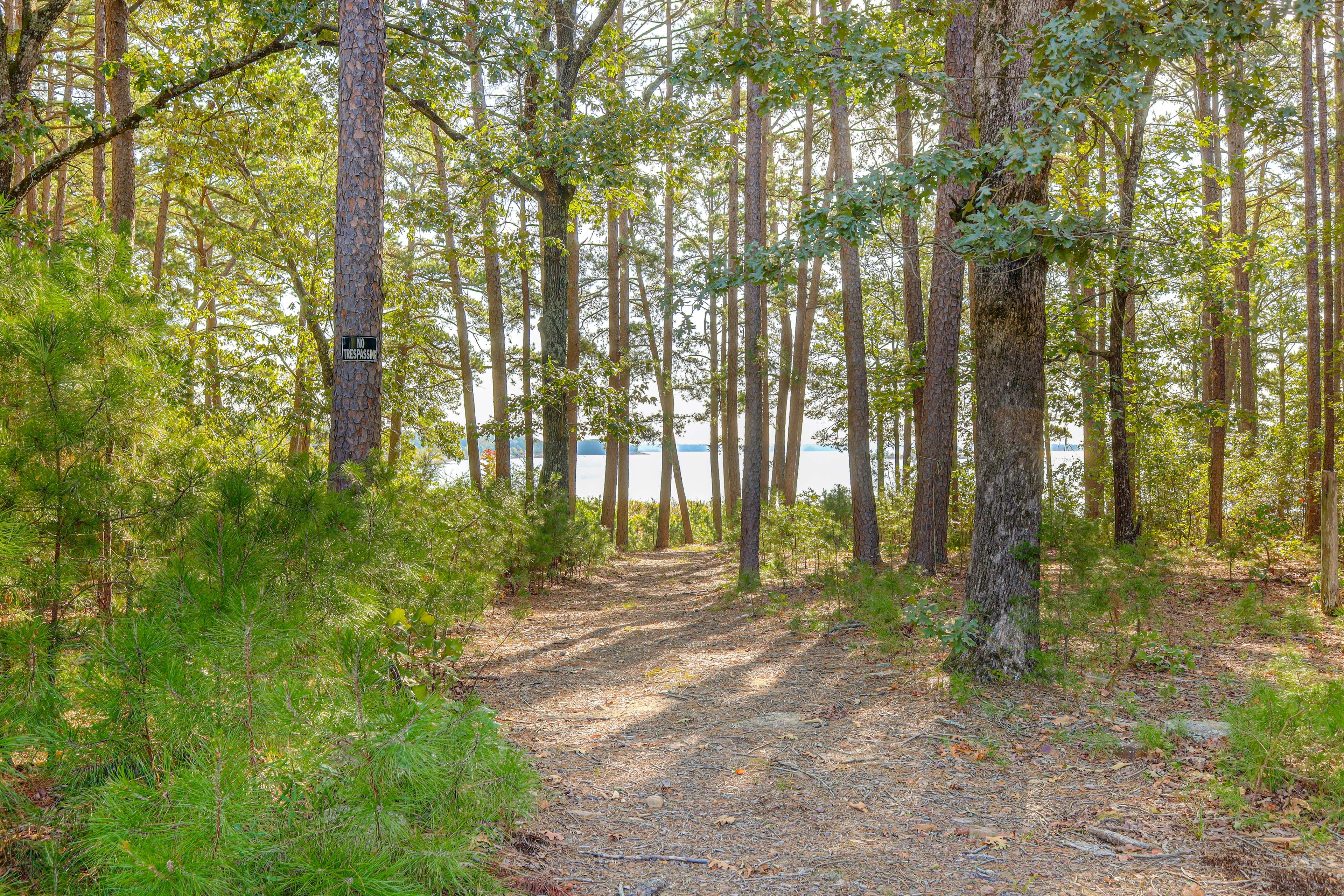 Lake Path