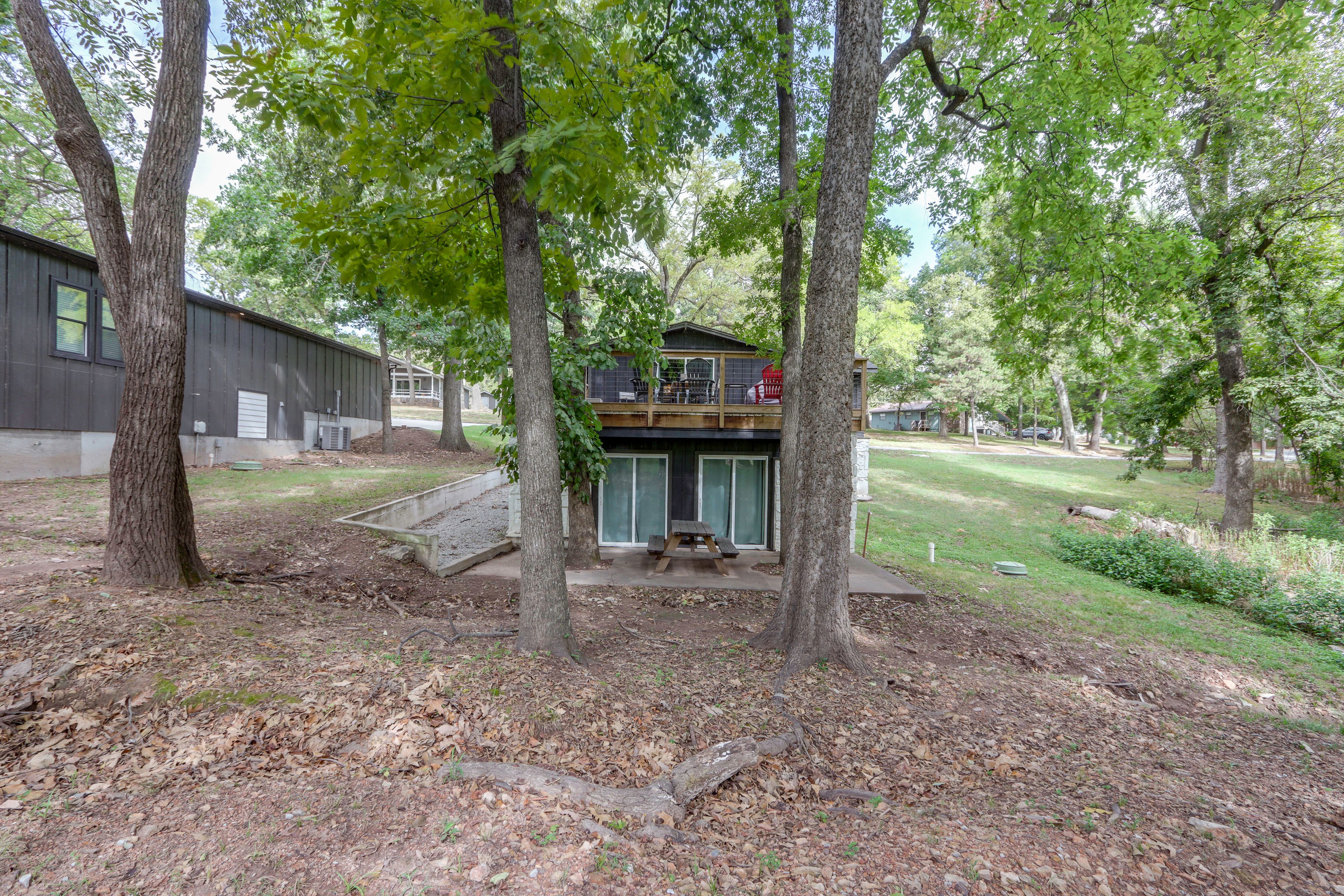 Backyard