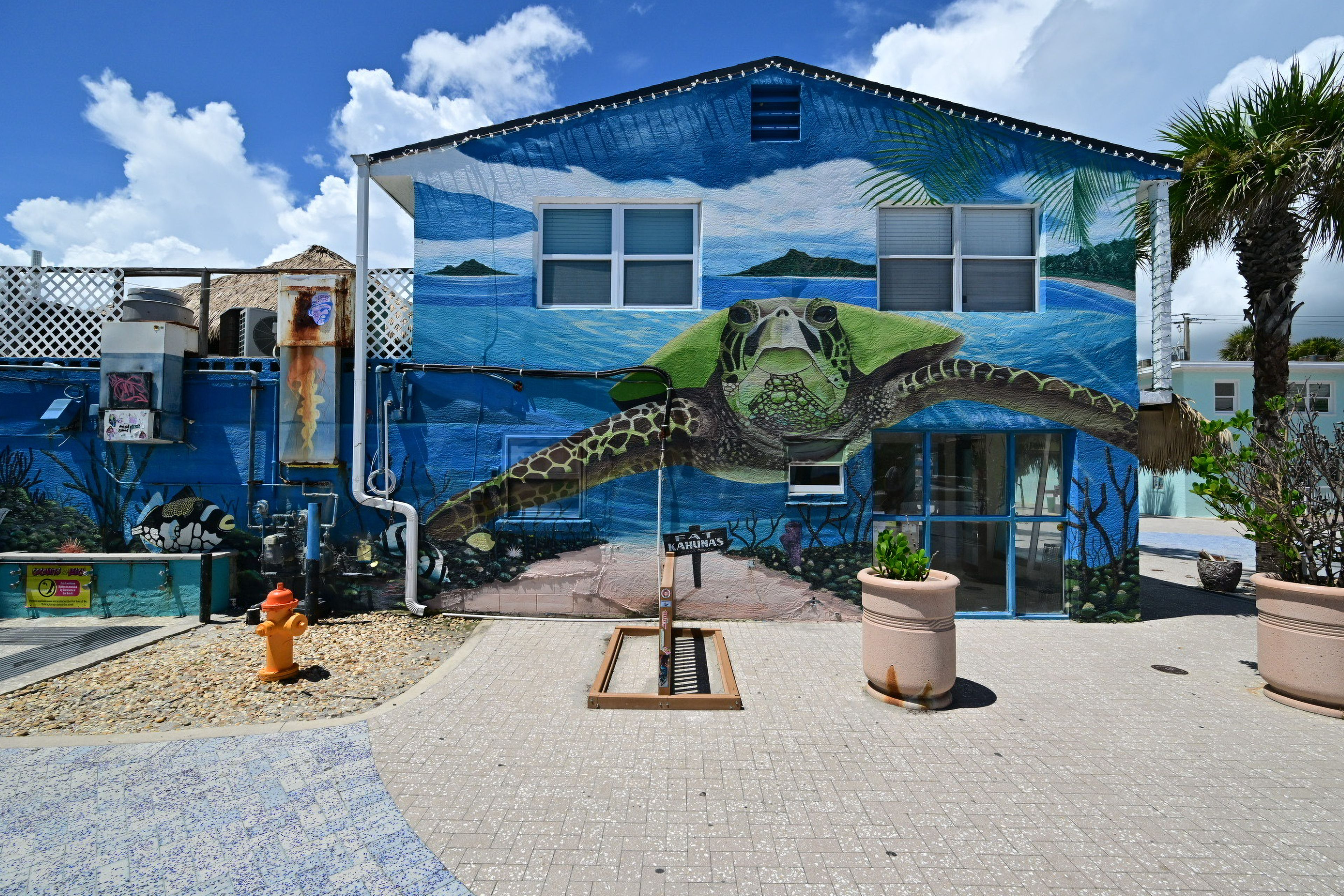 Image 51