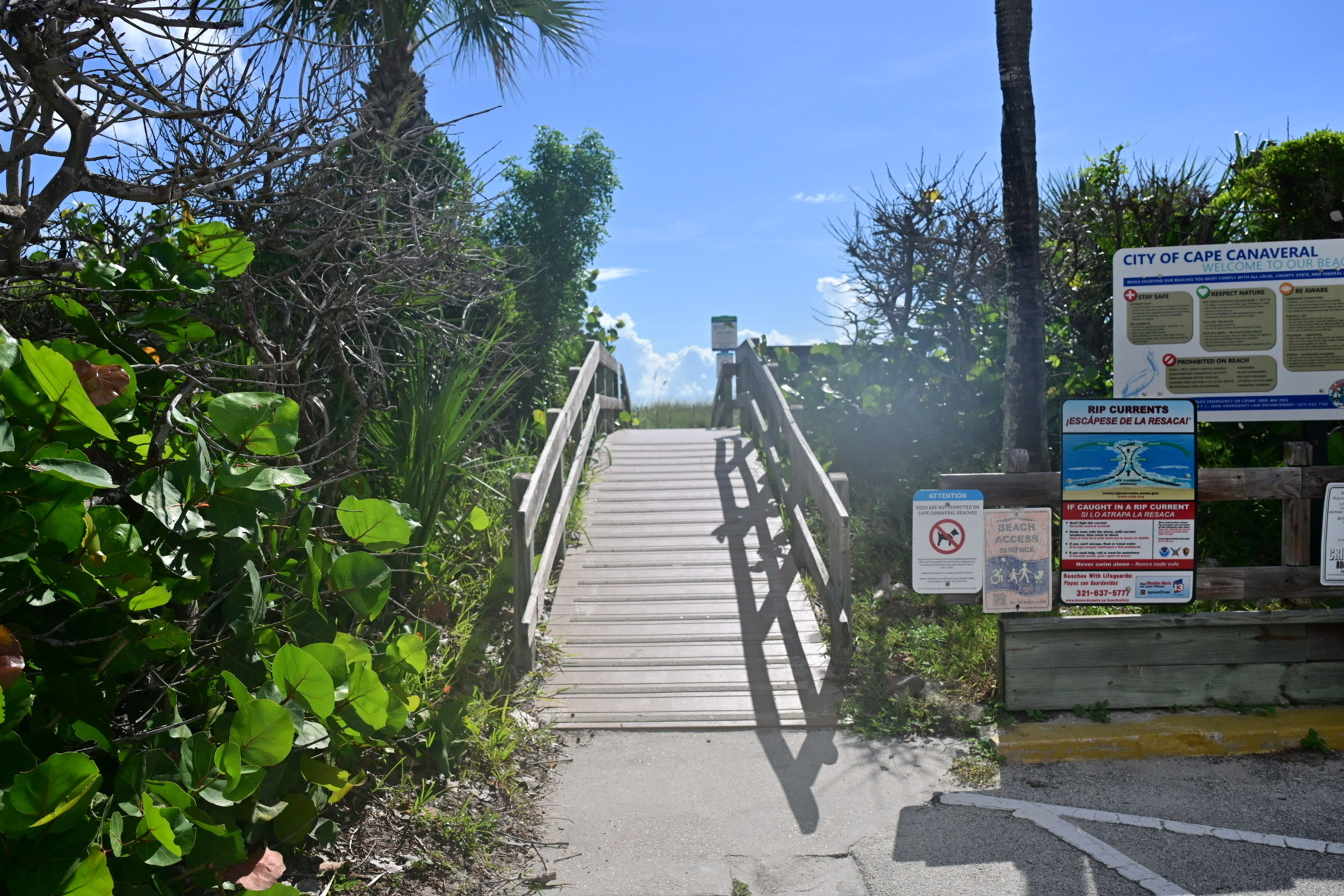 Image 28