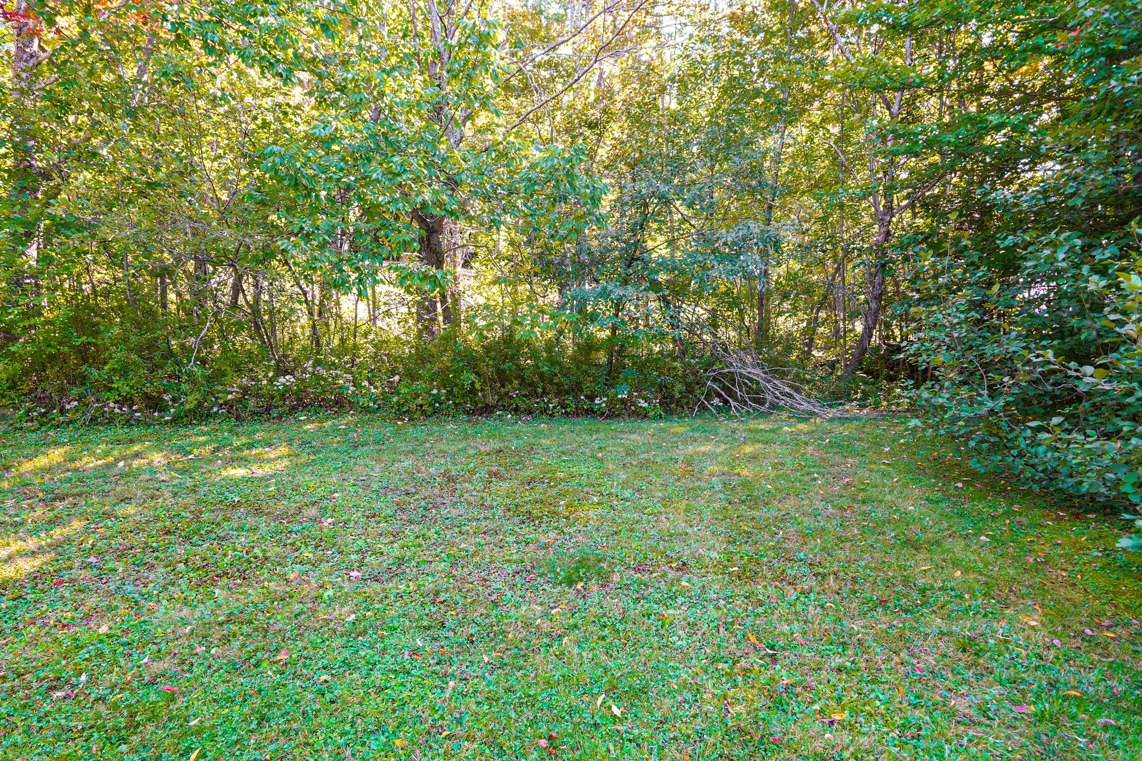 Image 49