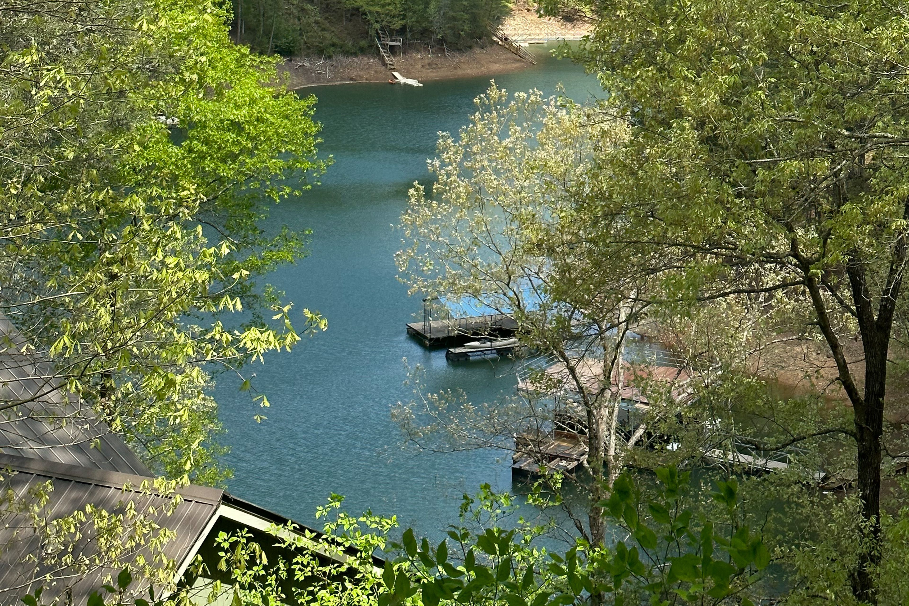 View From Deck