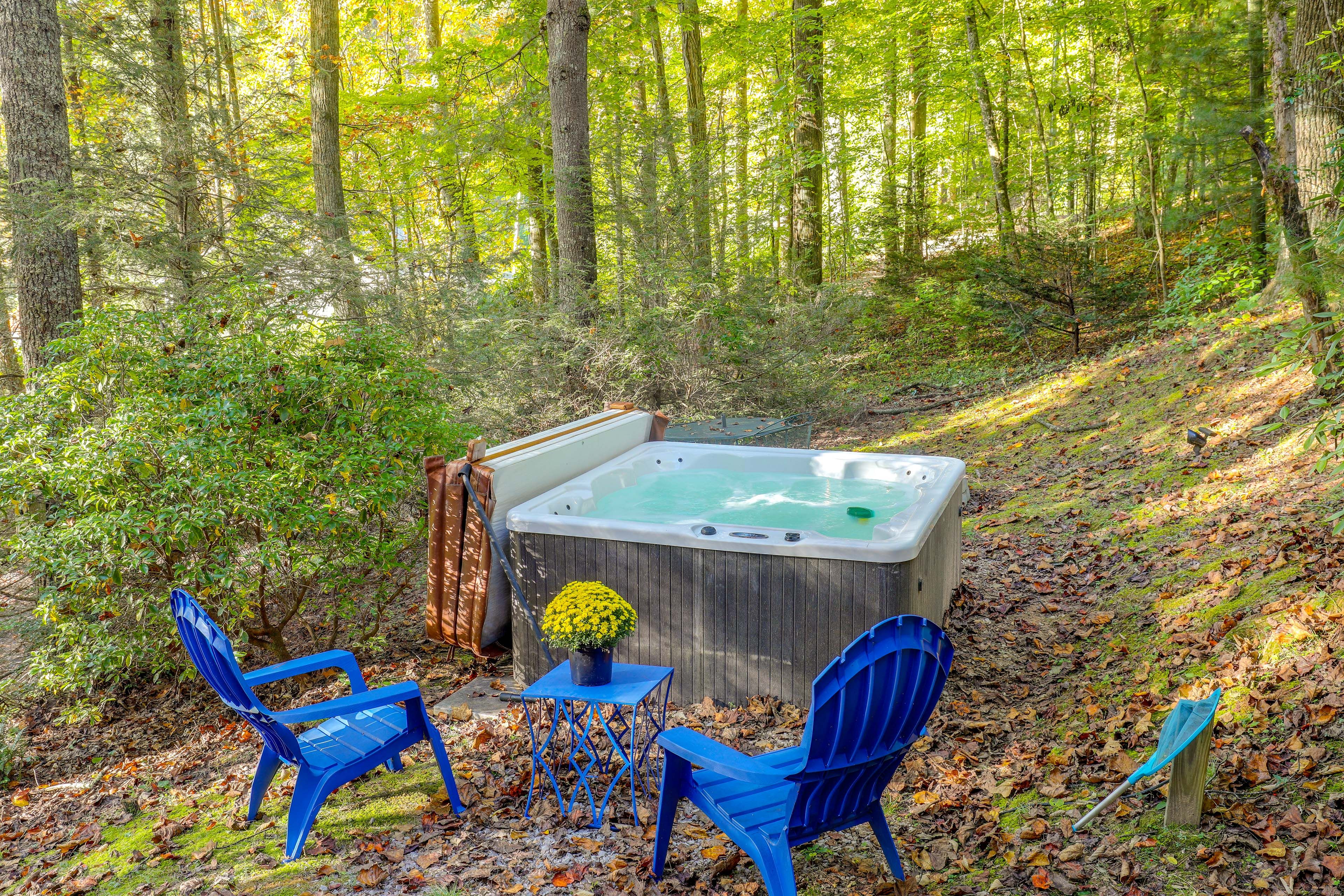 Black Mountain Vacation Rental | Studio | 1BA | 640 Sq Ft