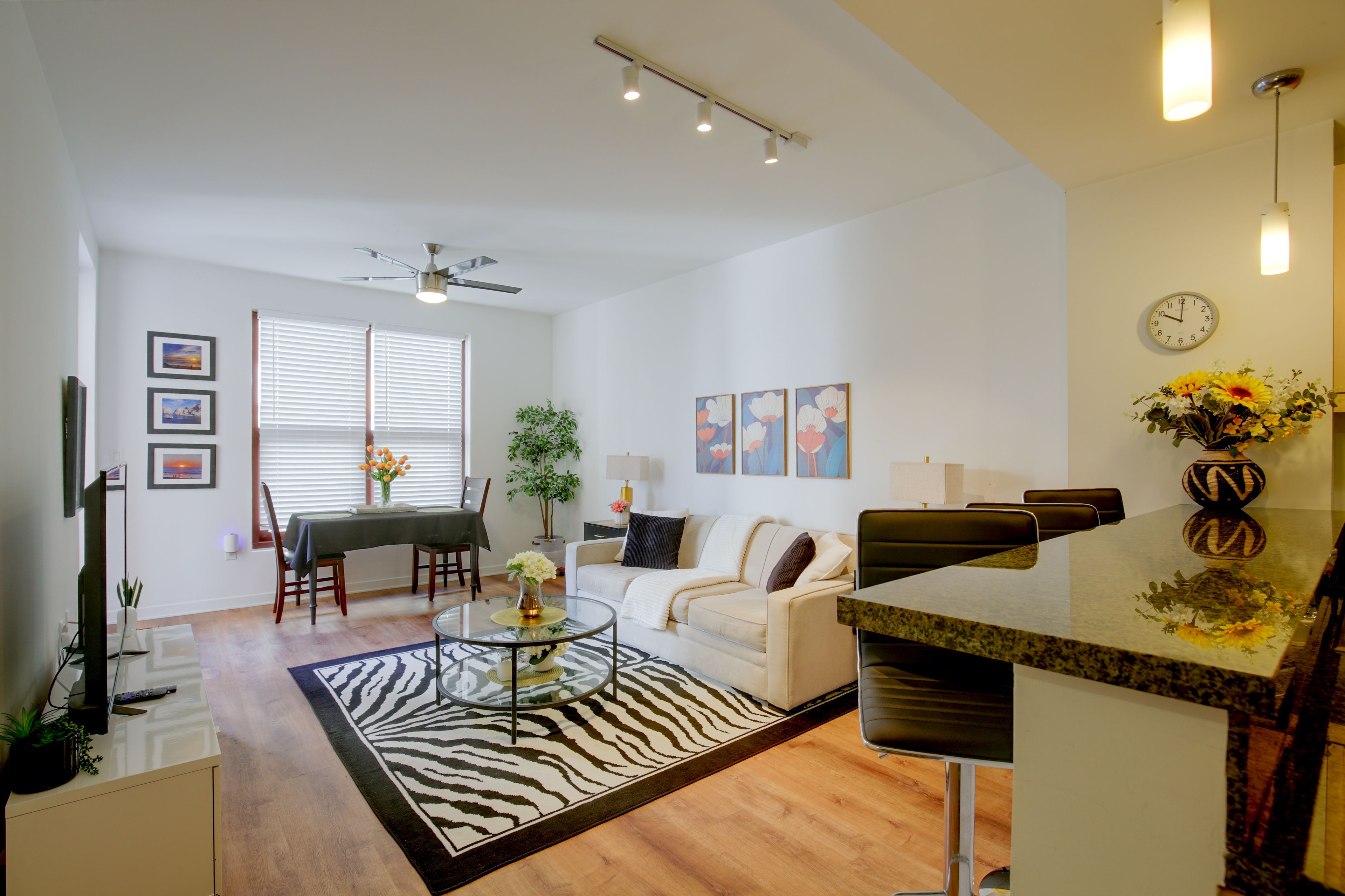 Living Room | Queen Sleeper Sofa