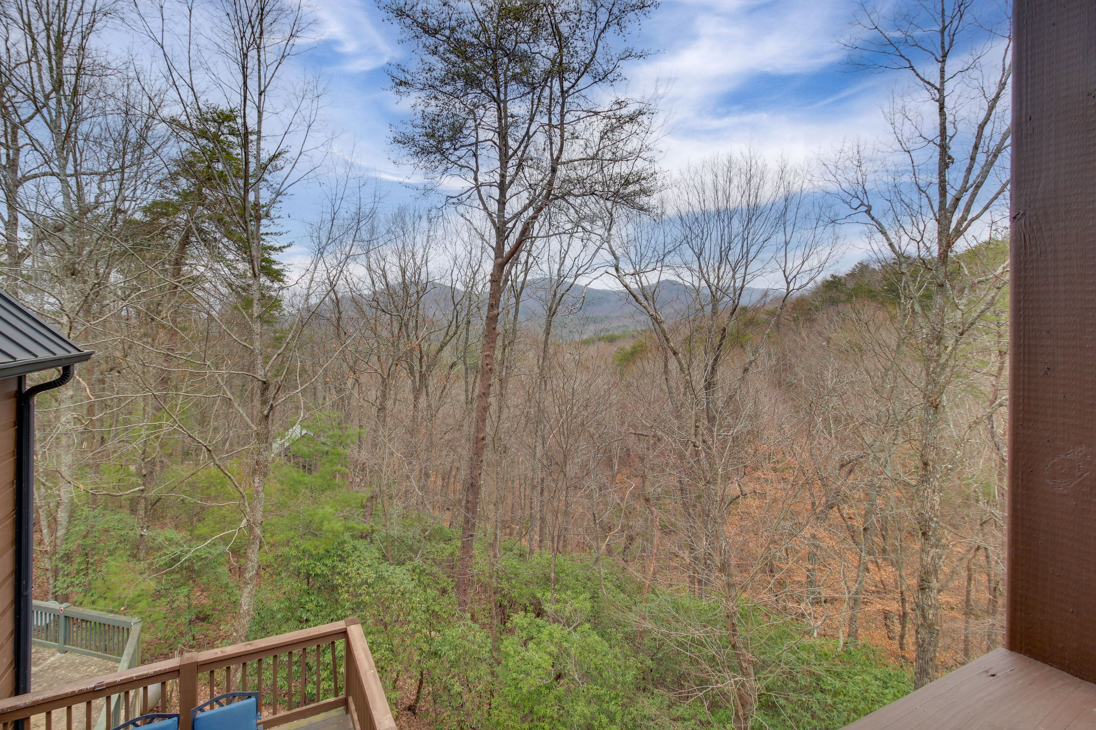 Mountain Views