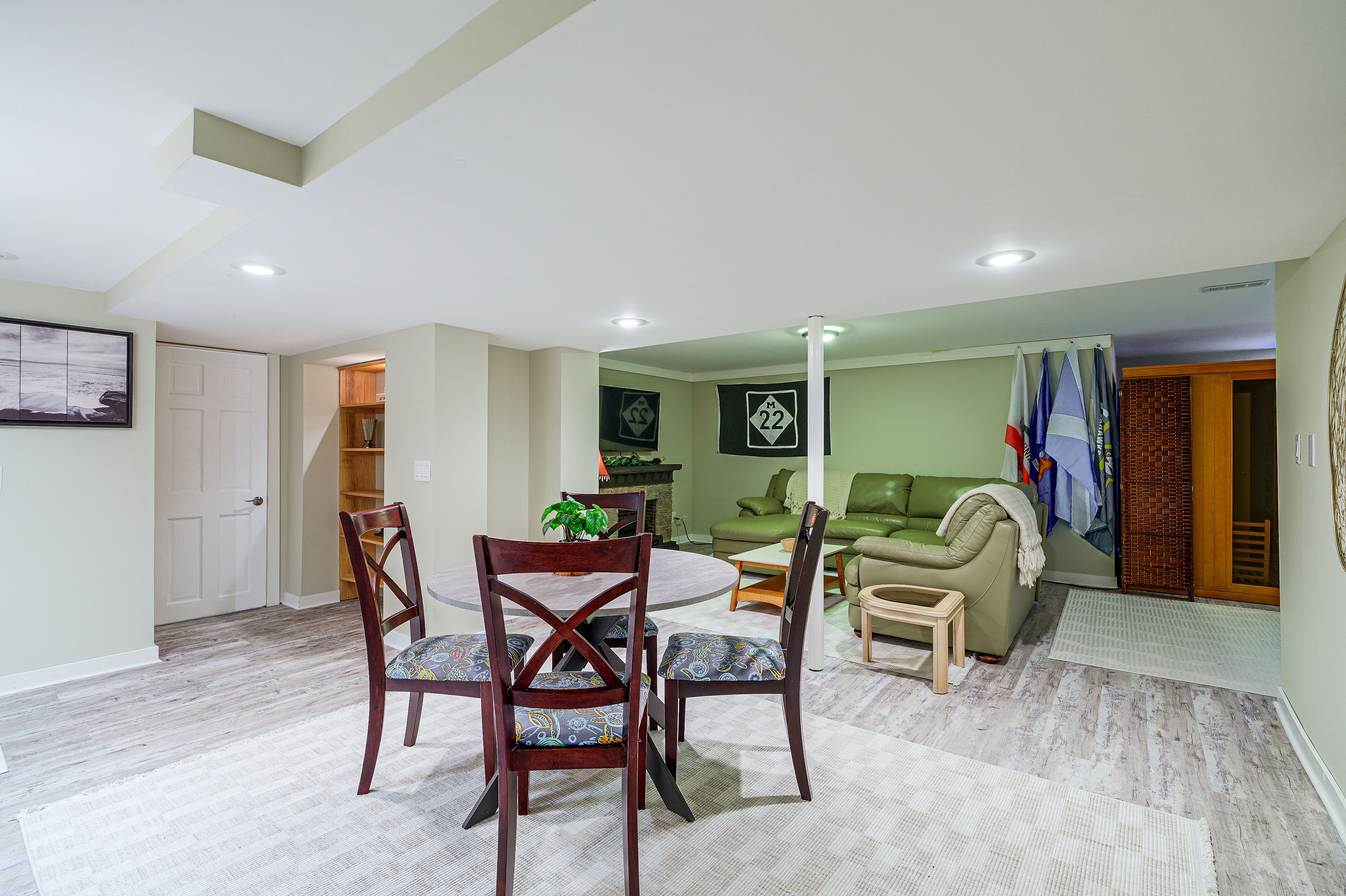 Basement Living Area