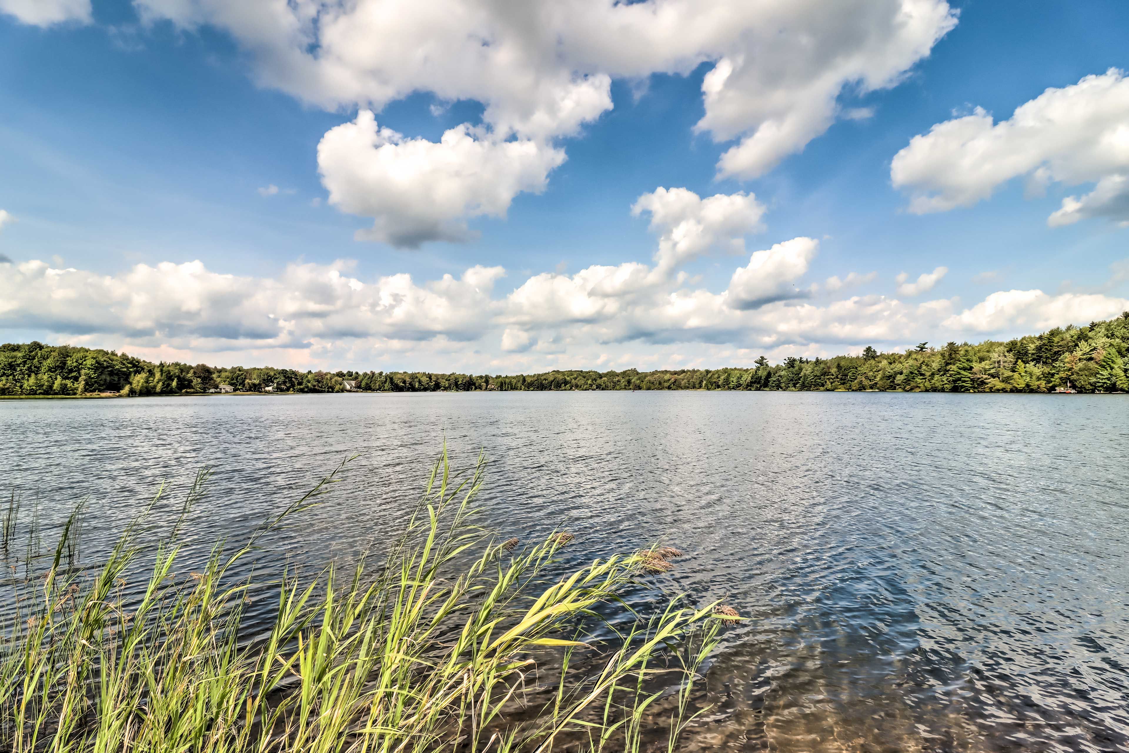 Nearby Lake